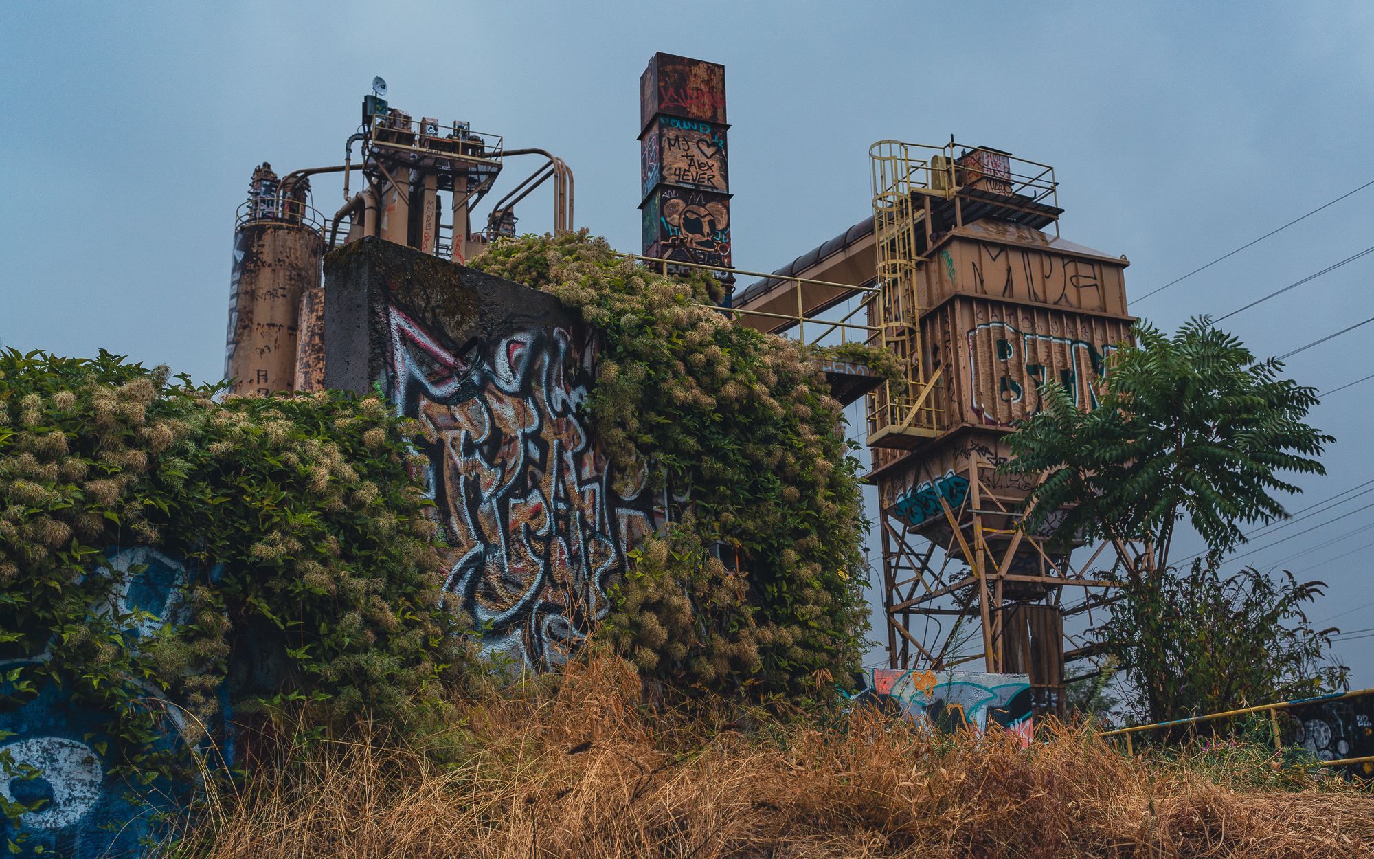 A photograph of an abandoned cement factory in Portland, Oregon, partially overgrown with lush greenery. 

The industrial structures, including rusted metal silos and a tall cylindrical tower, are adorned with vibrant graffiti, giving the scene an urban, artistic feel. Plants with fluffy white seed heads cascade over the decaying walls, blending nature with industrial remnants. 

The muted colors of the overcast sky add to the eerie, forgotten atmosphere, while the rusting metal scaffolding and stairs show the effects of time. The factory, once bustling with activity, now stands as a symbol of urban decay and the inevitable reclamation of nature.