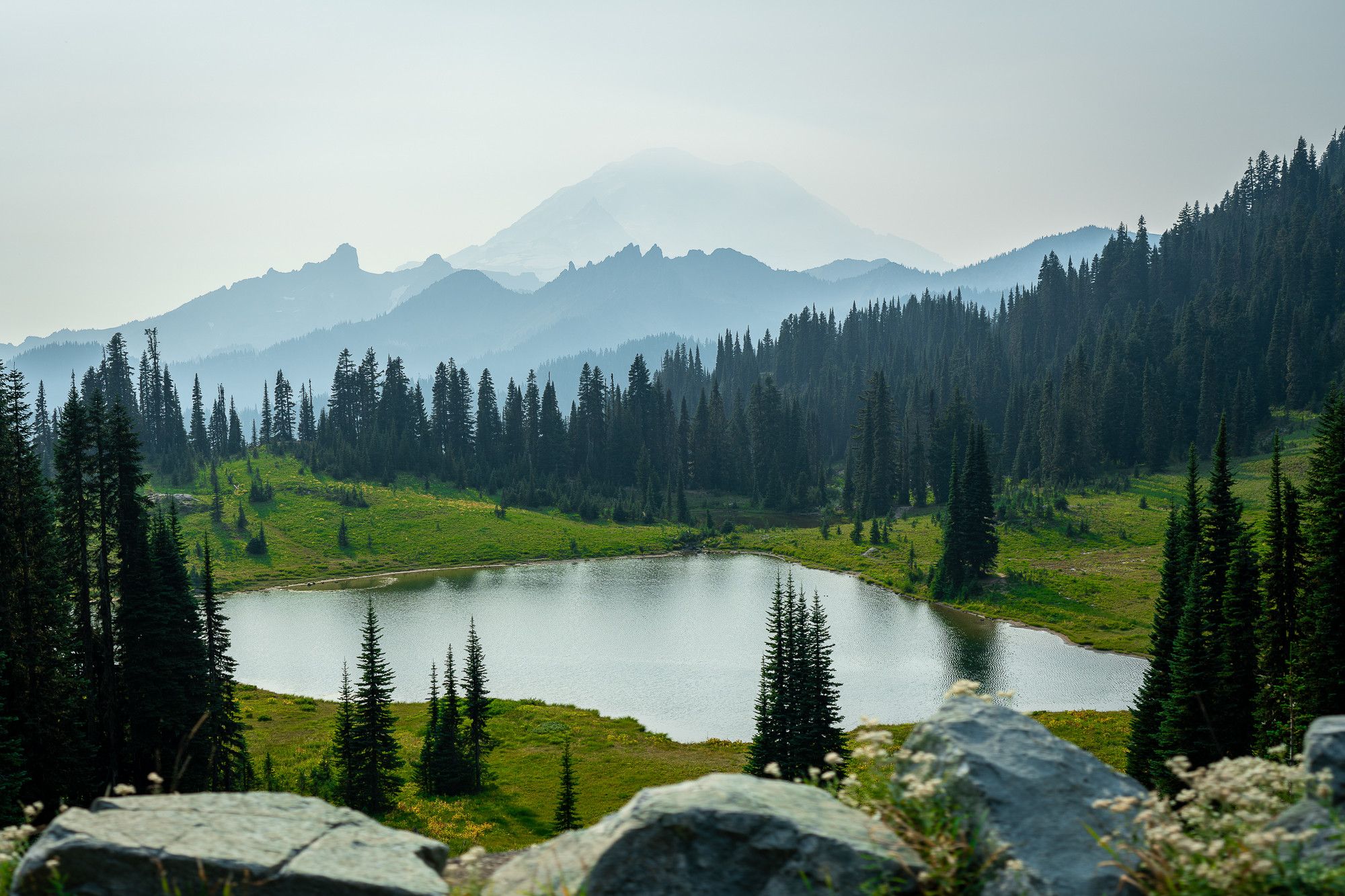 A serene view of Lake Tipsoo near Mt. Rainier, Washington, with the mountain shrouded in a thick layer of haze from nearby wildfires. The lake, nestled in a verdant meadow surrounded by tall evergreen trees, reflects the soft, diffused light of the overcast sky. 

Beyond the lake, layers of forested ridges and mountain peaks fade into the distance, each successively more obscured by the smoky haze. Mt. Rainier, typically a dominant feature in the background, is only faintly visible, its snow-covered peak blending into the muted sky. 

The scene feels peaceful yet slightly eerie, as the haze from the wildfires softens the landscape and colors, creating an atmosphere of quiet isolation.

--PT--

Vista serena do Lago Tipsoo, próximo ao Monte Rainier, com a montanha envolta em névoa de incêndios florestais. O lago reflete a luz suave, cercado por pinheiros e prados verdes. Ao fundo, picos montanhosos se desvanecem na névoa, com o Rainier apenas visível. A cena transmite paz e mistério.