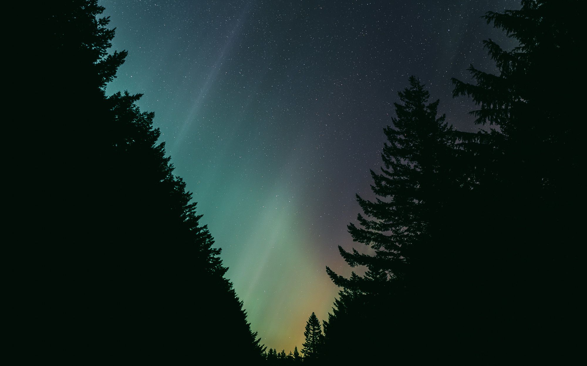 A breathtaking photograph of the Northern Lights as observed in Oregon. The image captures the dark silhouette of towering evergreen trees on both sides, framing the vibrant aurora borealis overhead. 

Bands of green and faint purple light stretch across the star-filled sky, creating a mesmerizing glow. The natural light show gently fades into the horizon, where hints of orange and yellow blend with the forested landscape. 

The stillness of the scene, combined with the soft, ethereal colors of the aurora, conveys a sense of awe and wonder at this rare phenomenon in the Pacific Northwest.