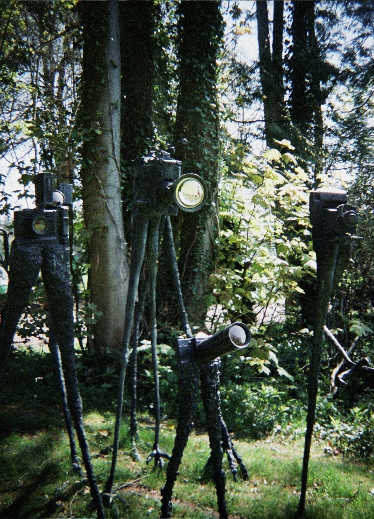 some sculptures of cameras with long legs in the woods