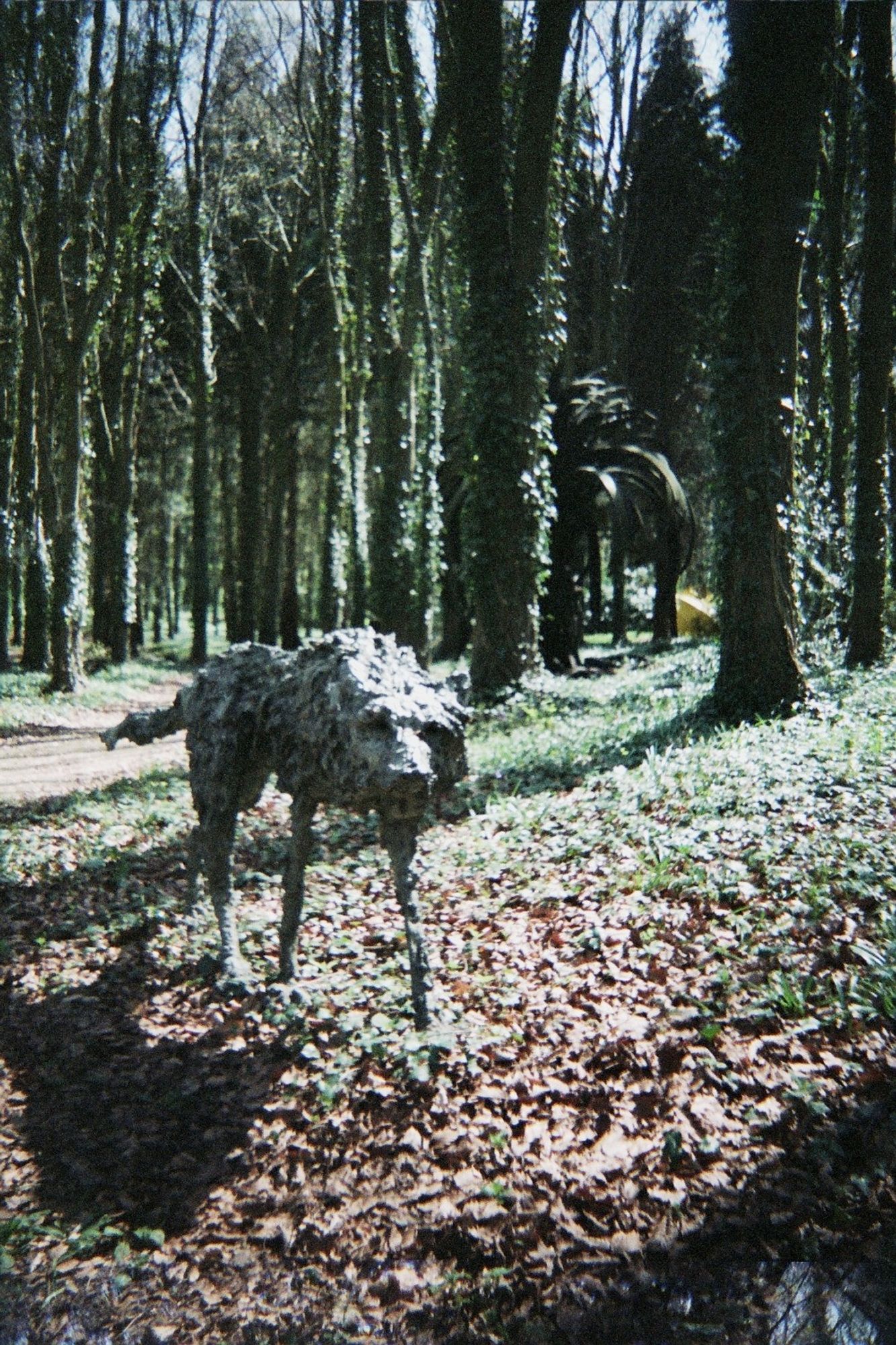 a sculpture in the woods in the sunlight of a wolf