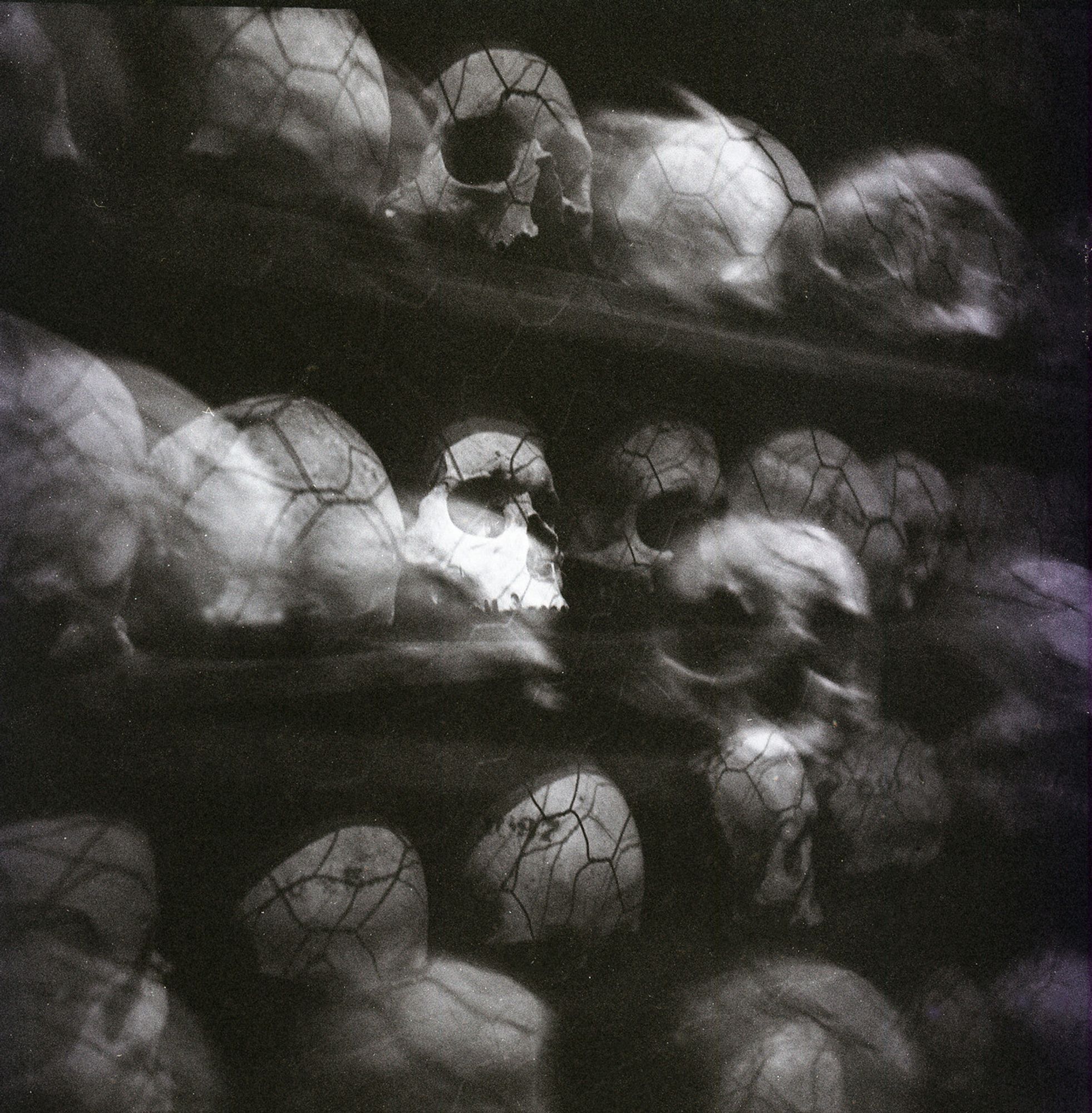 A black and white double exposure of some skulls on a shelf