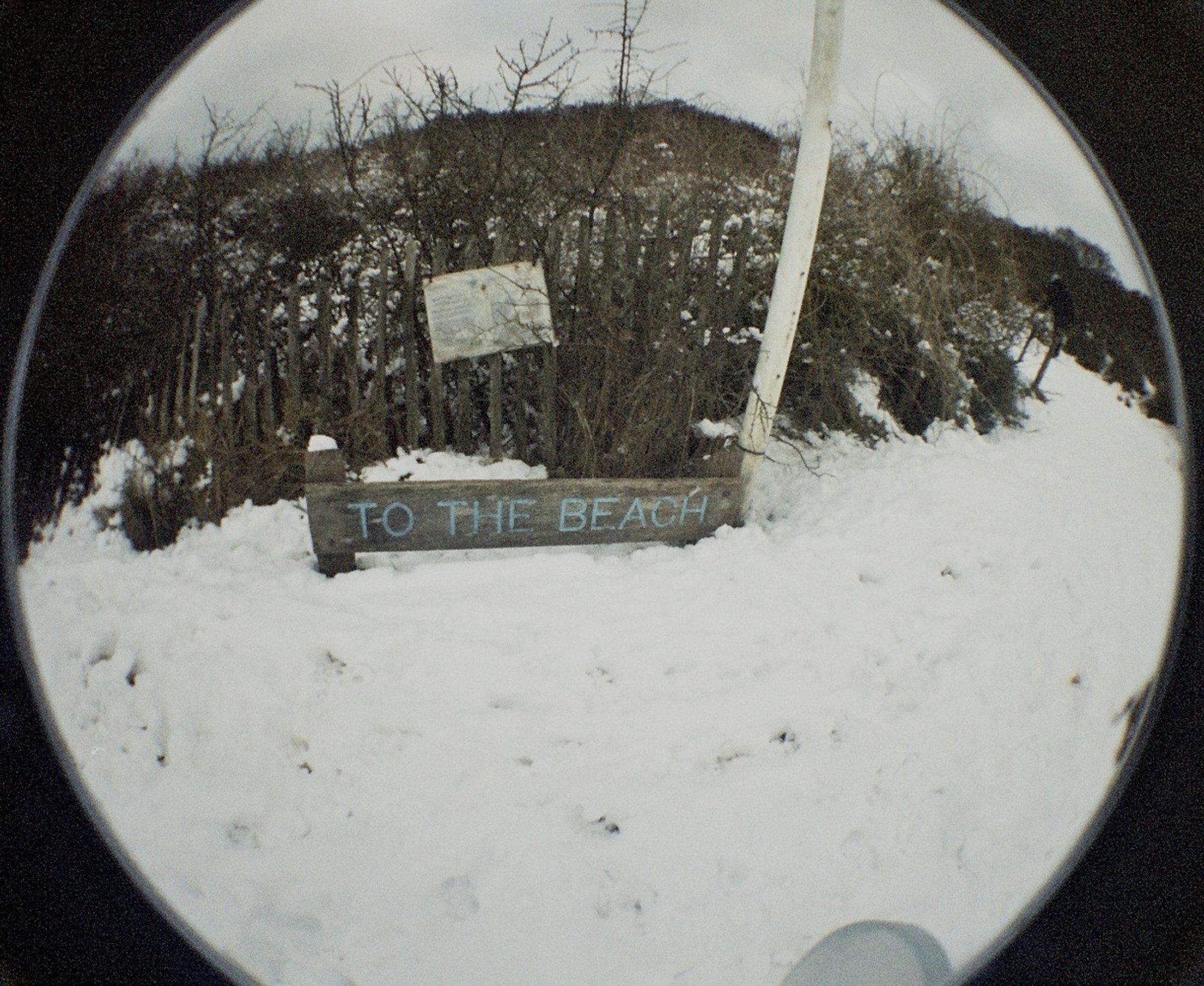 A fisheye photo of a sign deep in snow saying "to the beach"