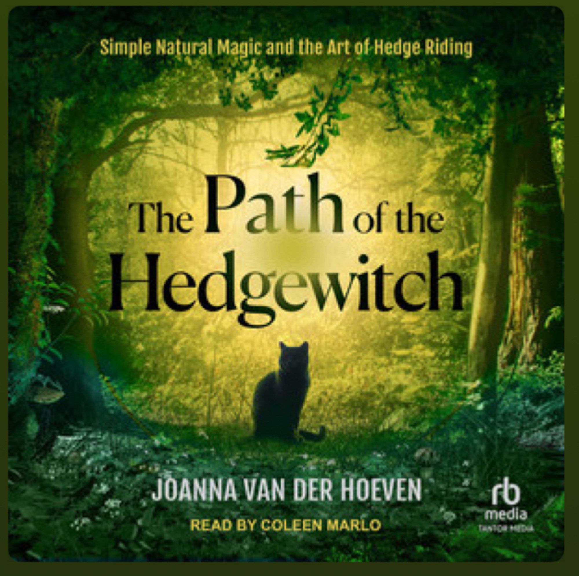 screenshot of audiobook cover for “path of the hedgewitch” by joanna van der hoeven. a black cat sits silhouetted against a saturated green forest, with a yellow globe of light glowing from the center