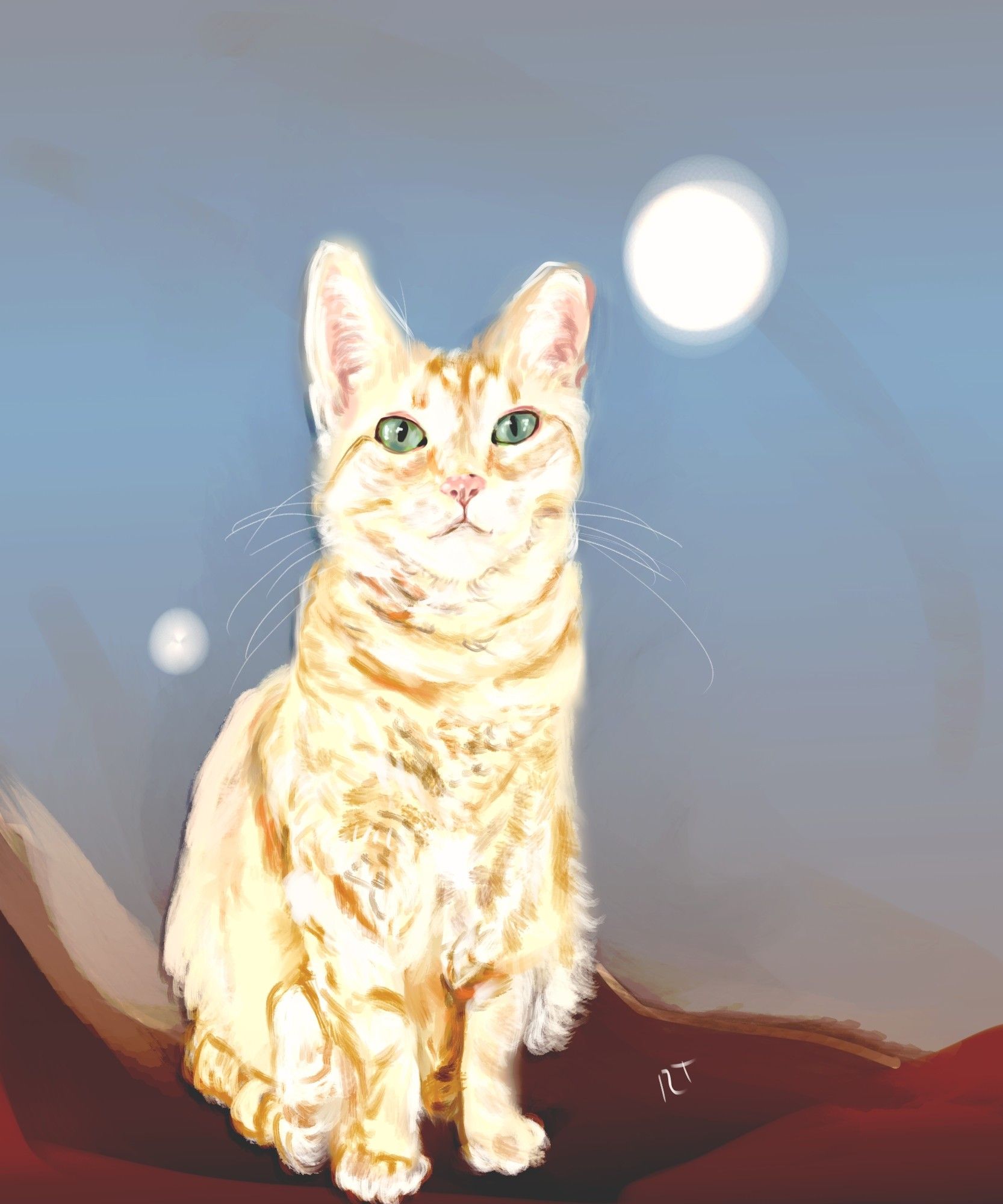 A drawing of an orange cat on an a sci-fi abstract background