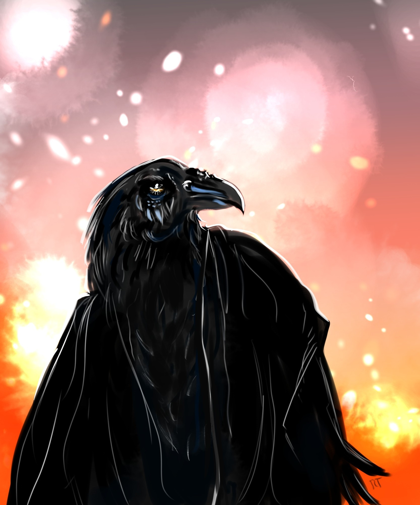 A raven based aarakocra