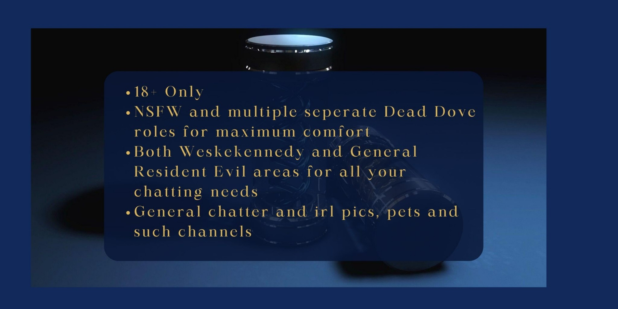 18+ only
NSFW and multiple separate dead dove roles for maximum comfort 
Both Weskennedy and general Resident Evil areas for all your chatting needs
General chatter and irl pets and such channels