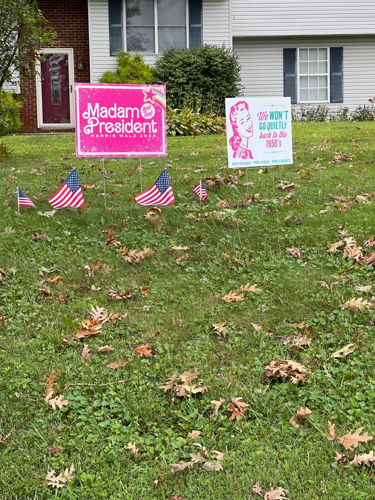 a grassy front yard with two yard signs and several small American flags staked into the ground. The left sign is bright pink with white text that reads "Madam President, Harris Walz 2024" and has a rainbow and star graphic in the corner. The right sign features an illustration of a woman with retro-style hair and text in various colors that says, "We won't go quietly back to the 1950's." Beneath this, the text reads, "Pro Woman – Pro Child – Pro Choice."