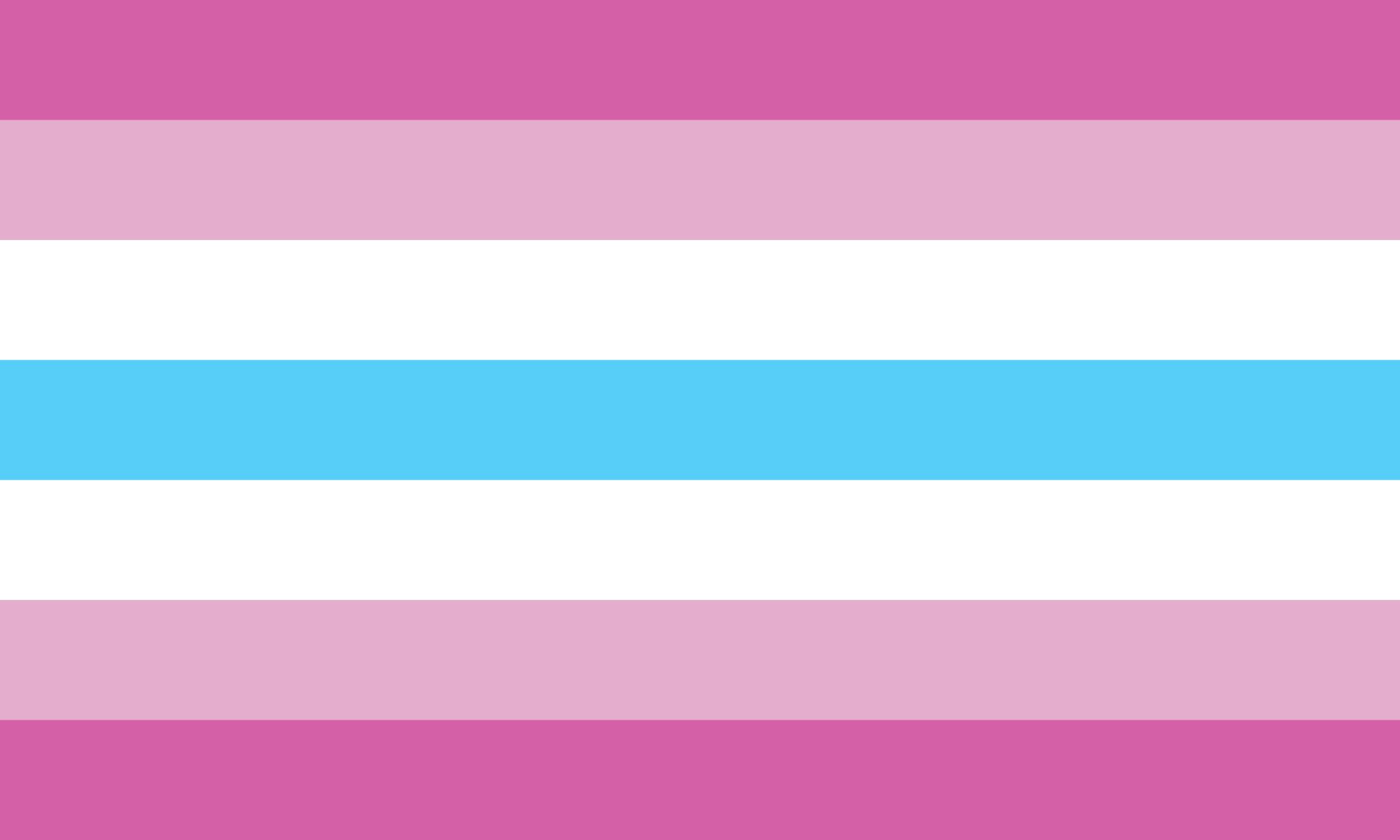 Femboy Pride Flag