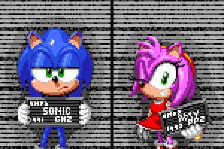 A certain faker got Sonic the Hedgehog wrongly accused again, and Amy Rose just wanted to be with him in jail. Here we see their mugshot photos. Amy seems to be having a good time, but not Sonic.