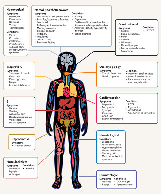 'Prevention of COVID / Long COVID must not be a 'lost cause'. @juliadoubleday.bsky.social.
Reality is that airborne viruses spread more easily in poorly ventilated classrooms, and that high-quality HEPA filtration could help bring down transmission.
Figure 2 below from RECOVER study, showing organ system involvement of #PASC in children.' https://www.thegauntlet.news/p/long-covid-is-now-the-number-one?utm_source=substack&utm_medium=email&utm_campaign=email-restack-comment&r=cwb8u&triedRedirect=true

https://publications.aap.org/pediatrics/article/153/3/e2023062570/196606/Postacute-Sequelae-of-SARS-CoV-2-in-Children?autologincheck=redirected