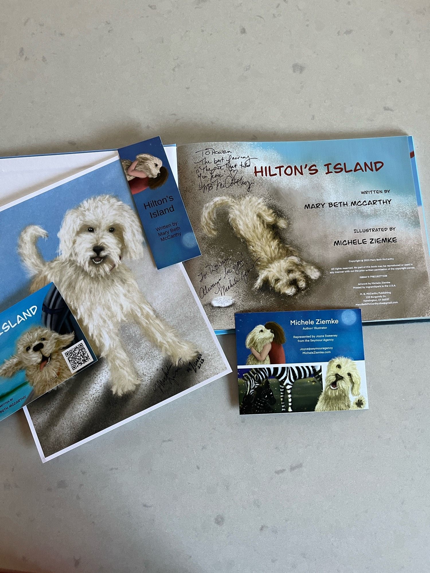 Book swag for Hilton’s Island children’s picture book