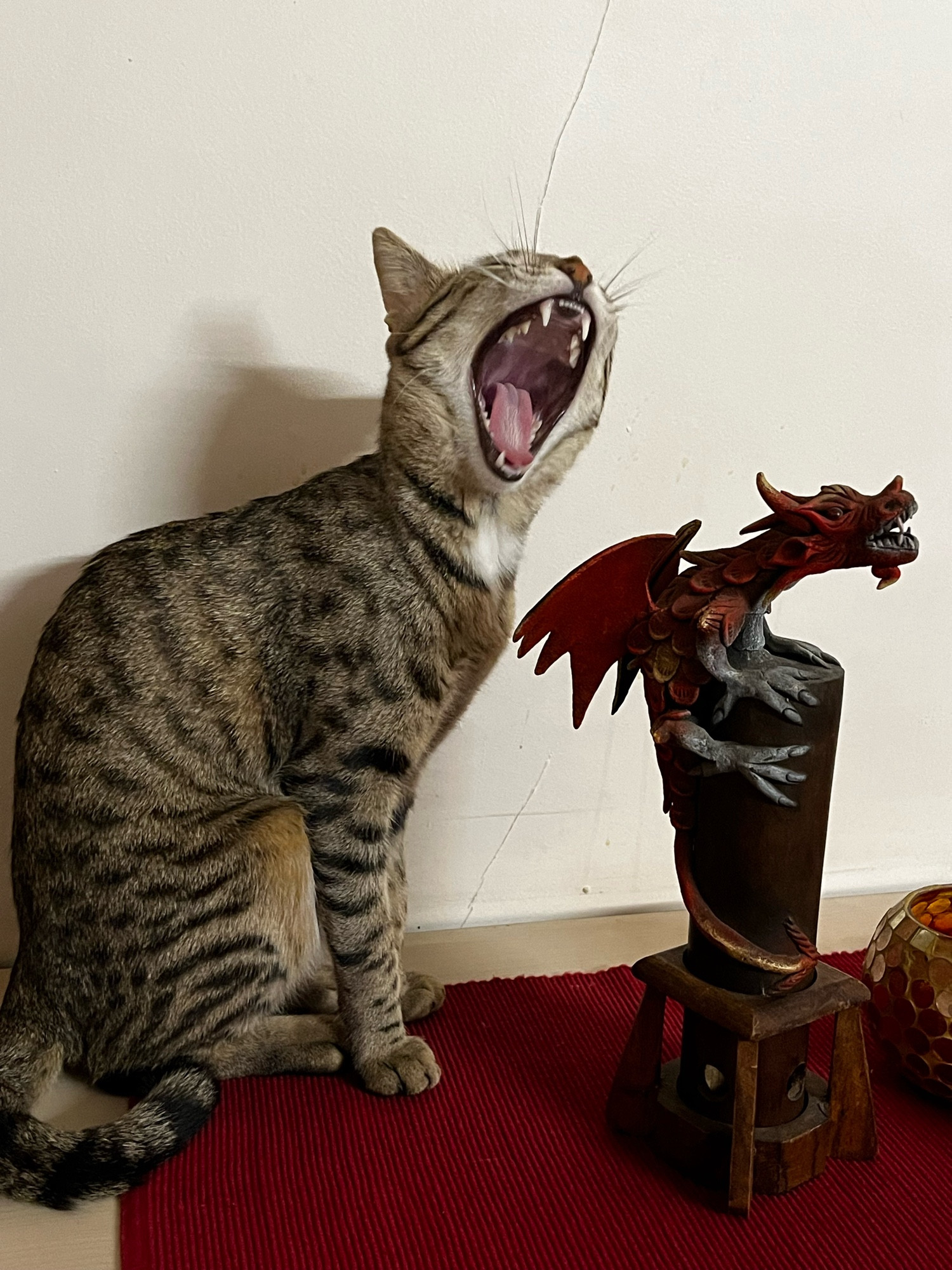 A kitten roaring at a dragon