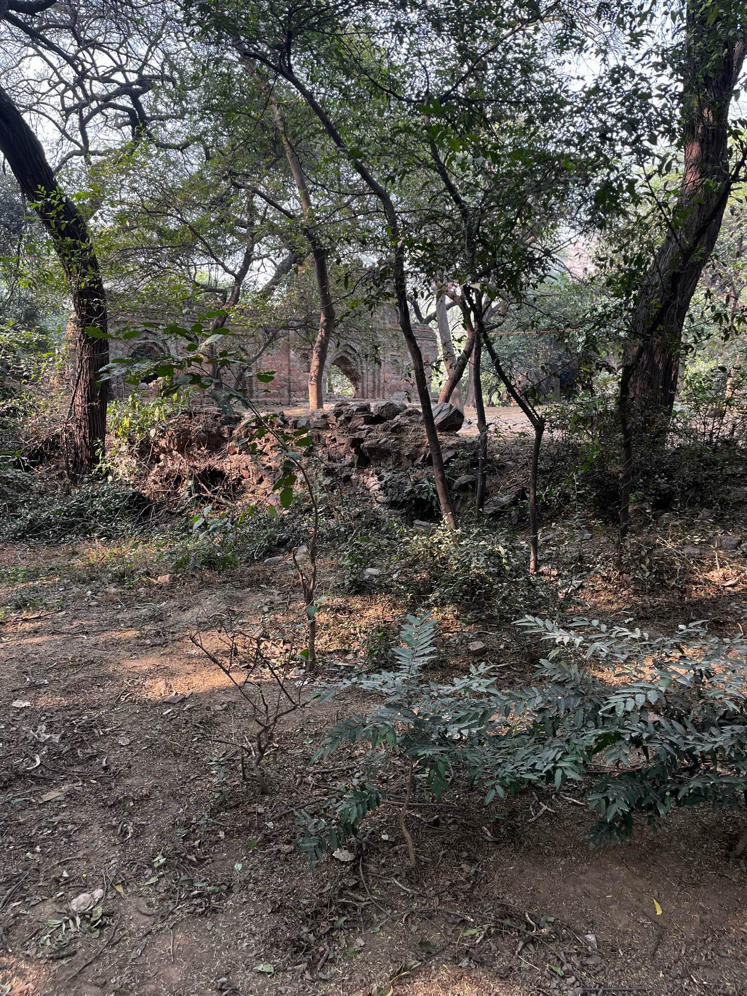 Ruins seen through trees