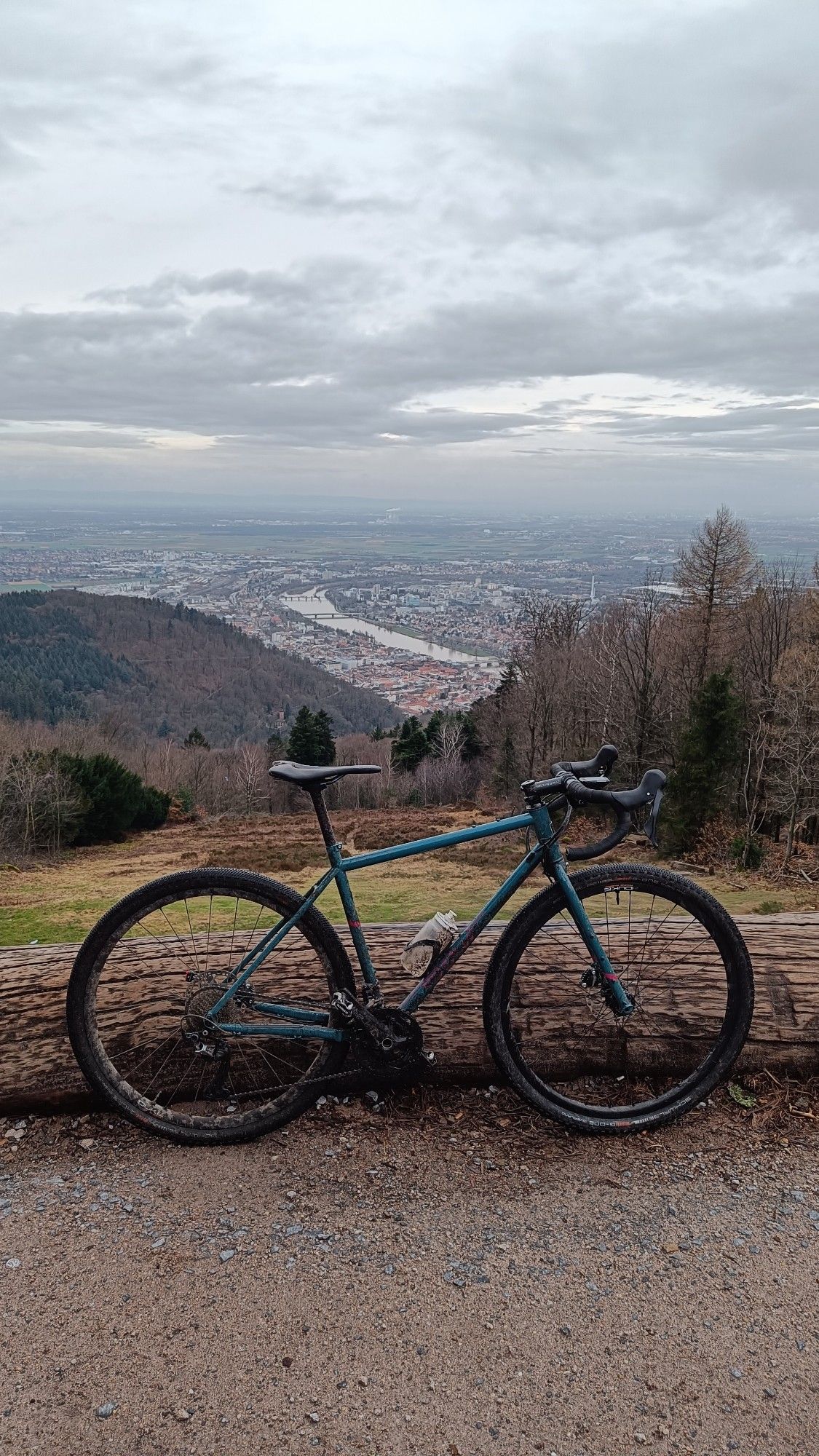 Petrolfarbenes Gravelbike steht auf einem Berg im Hintergrund der Neckar und Heidelberg