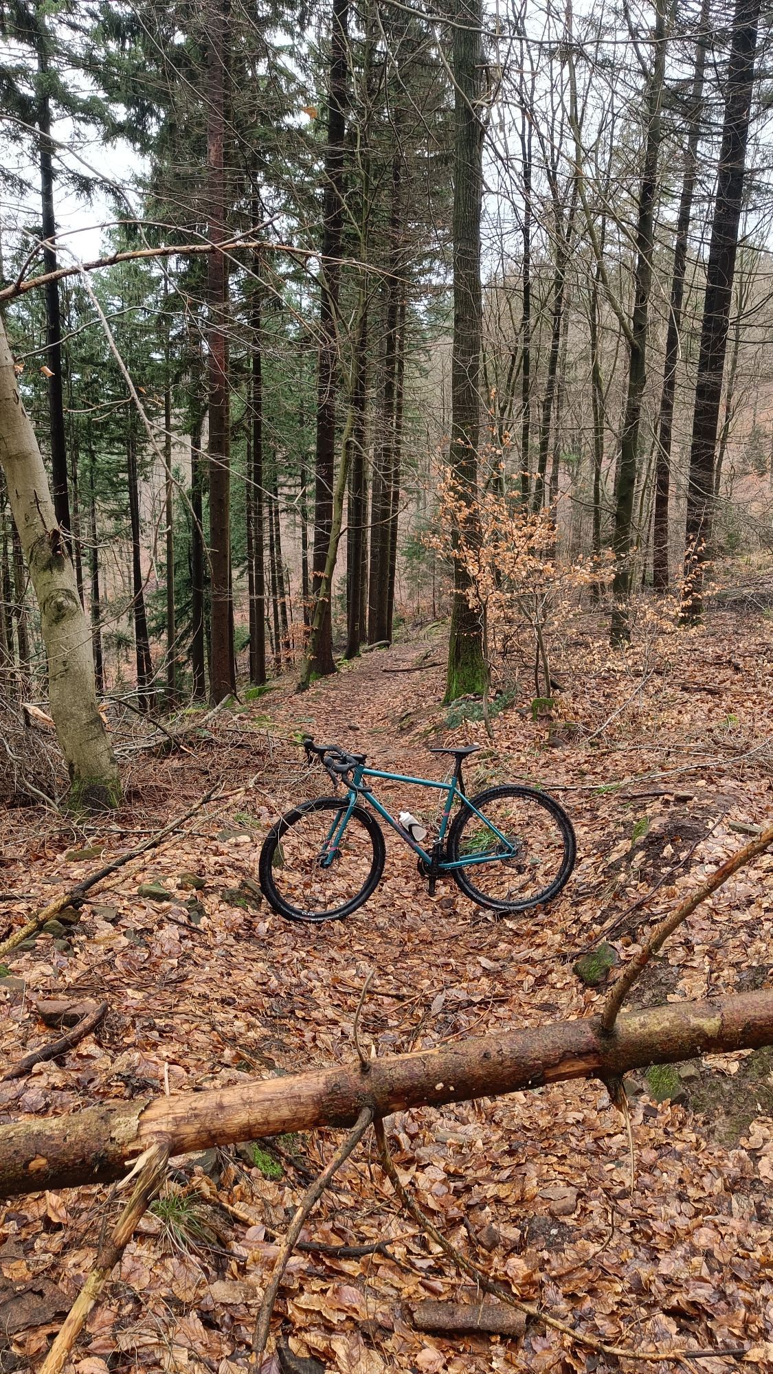 Petrolfarbenes Gravelbike steht auf einem steilen MTB Trail