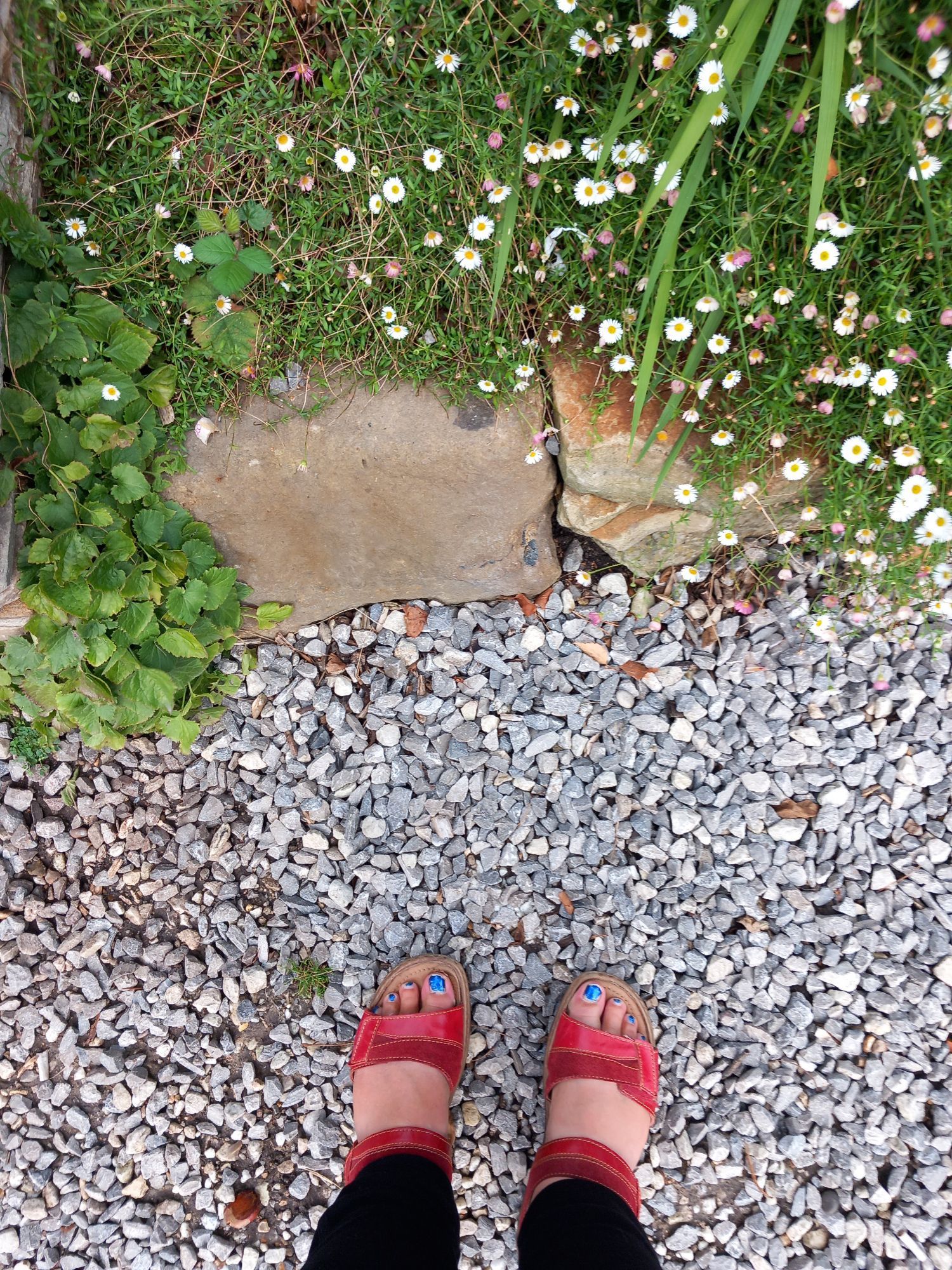 Feet in red sandals on gravel