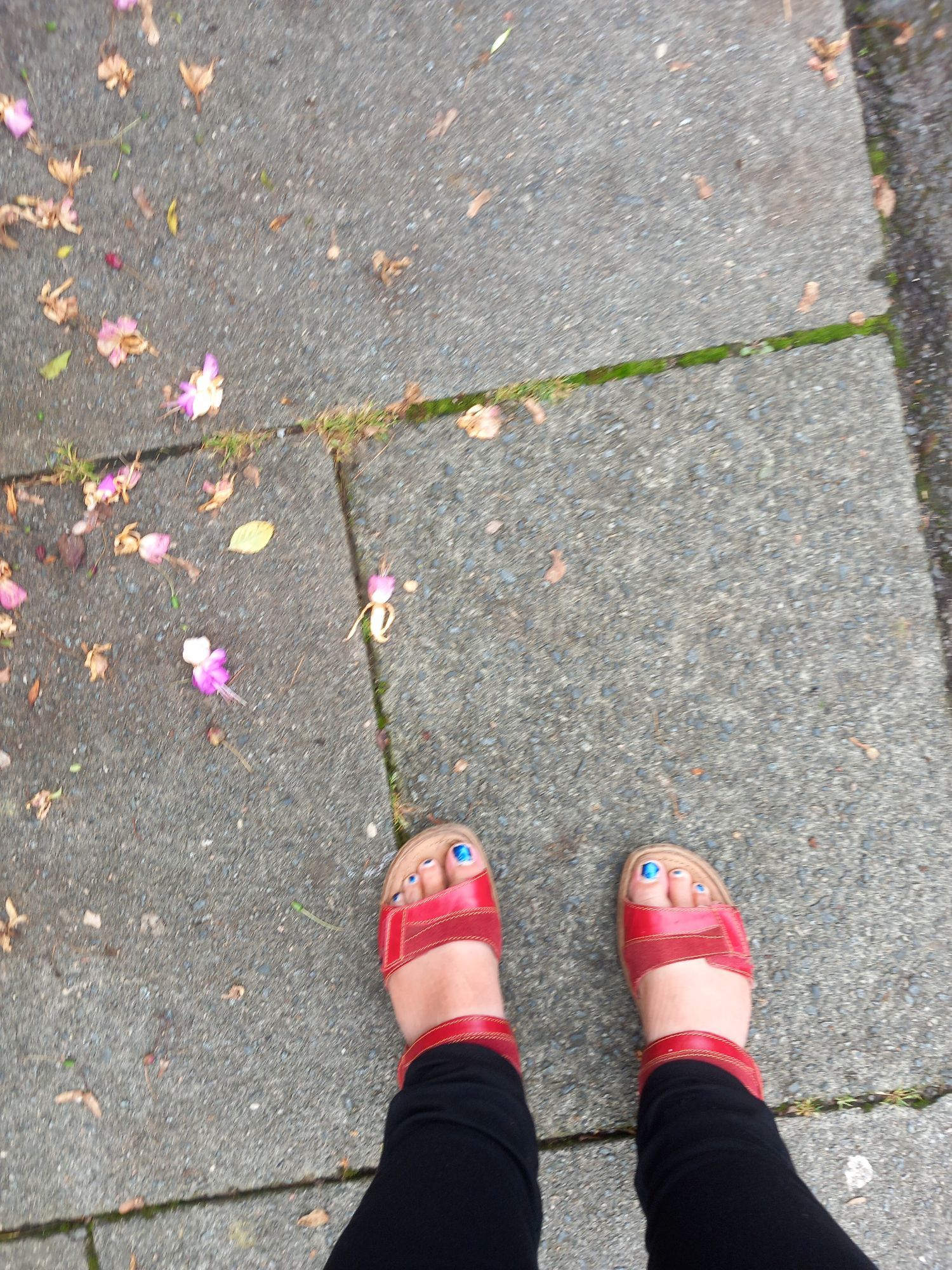 Feet in red sandals on pavement