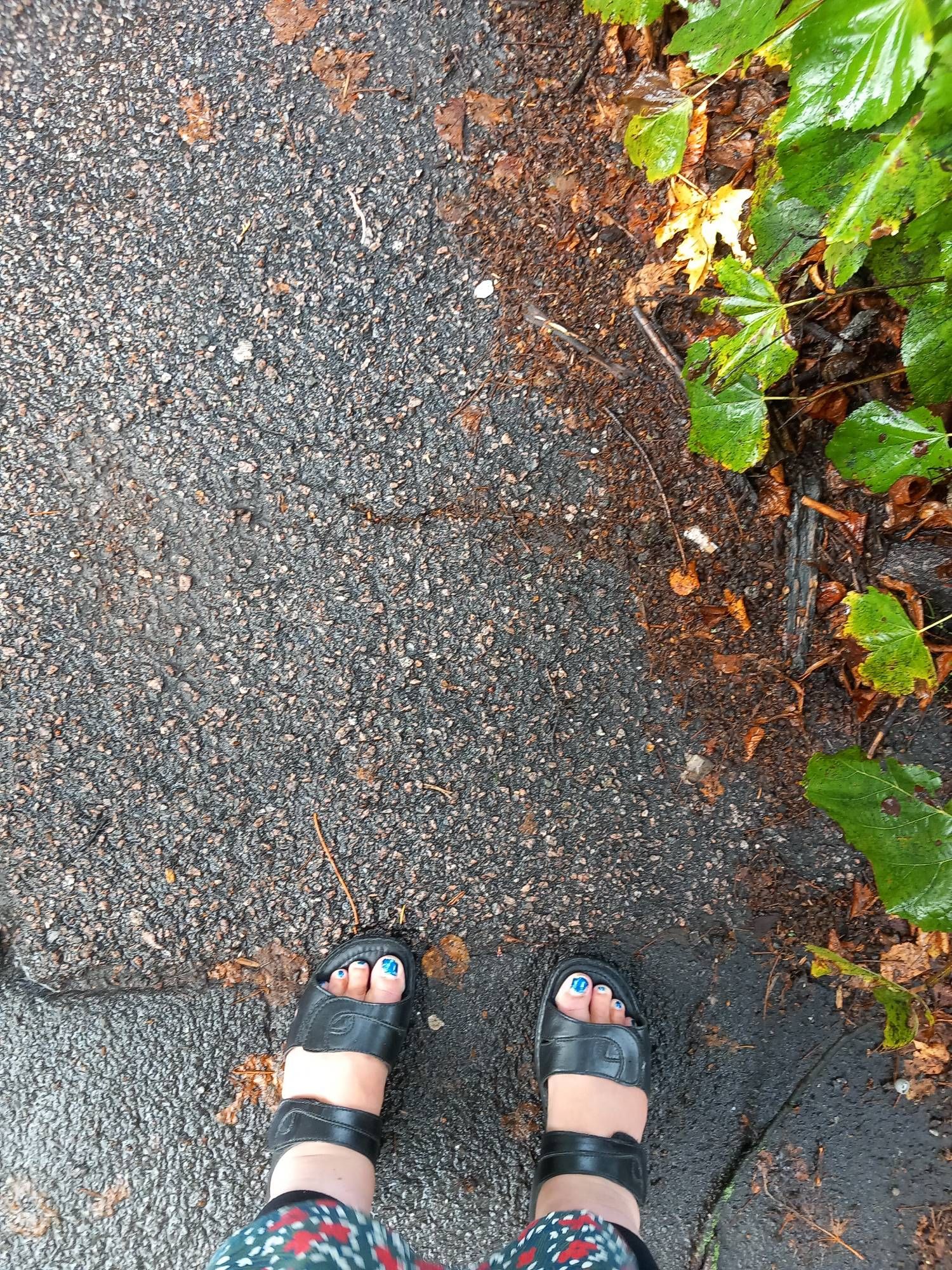 Feet in black sandals on damp footpath