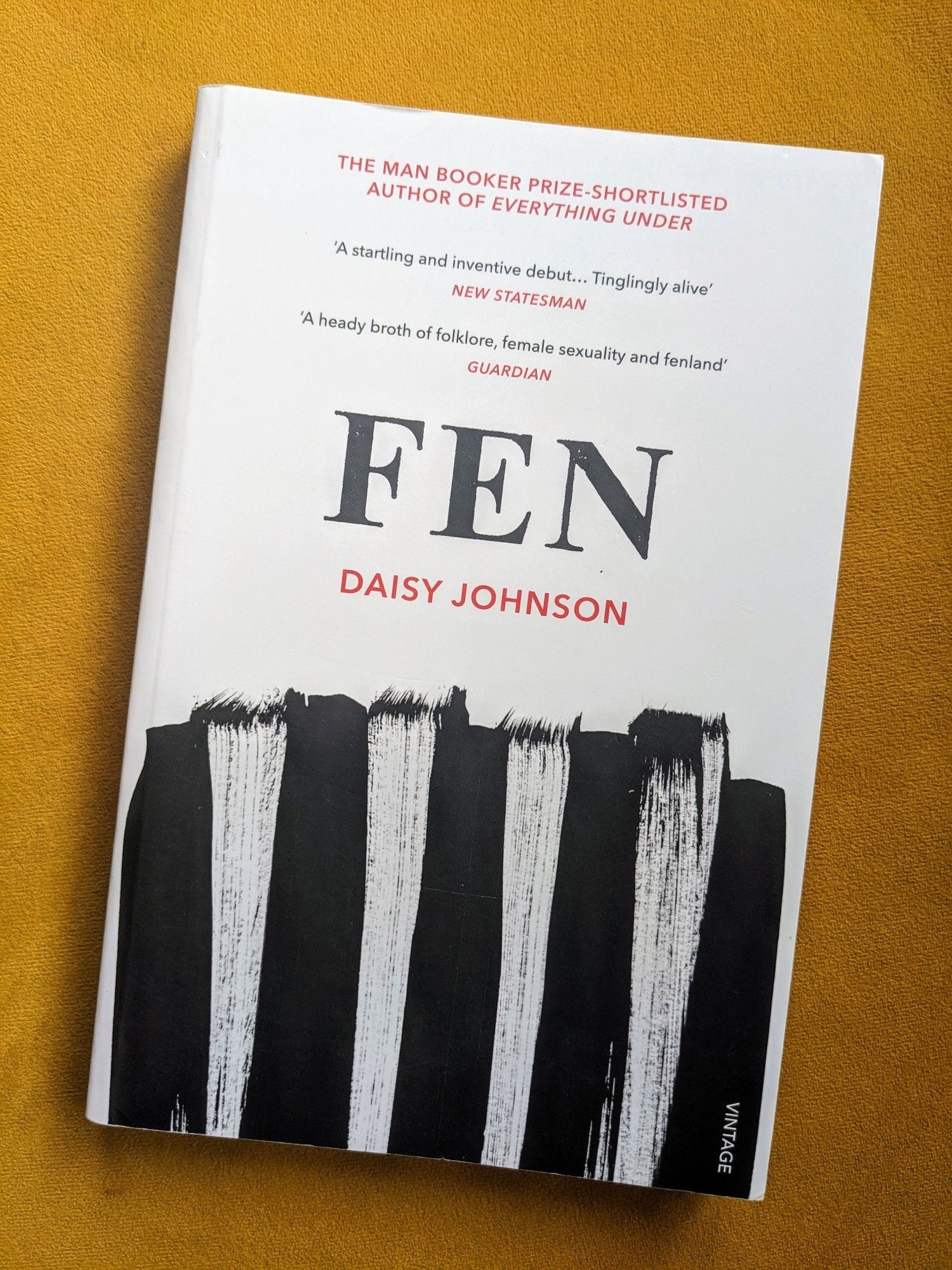 A copy of the 2017 Vintage edition of Fen by Daisy Johnson. The cover design is uncredited by the publisher.