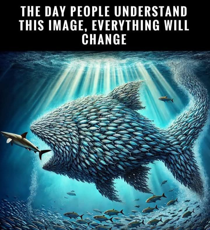 a million little fish swimming in the shape of a giant fish about to eat a shark. Text: "The day people understand this image, everything will change."
