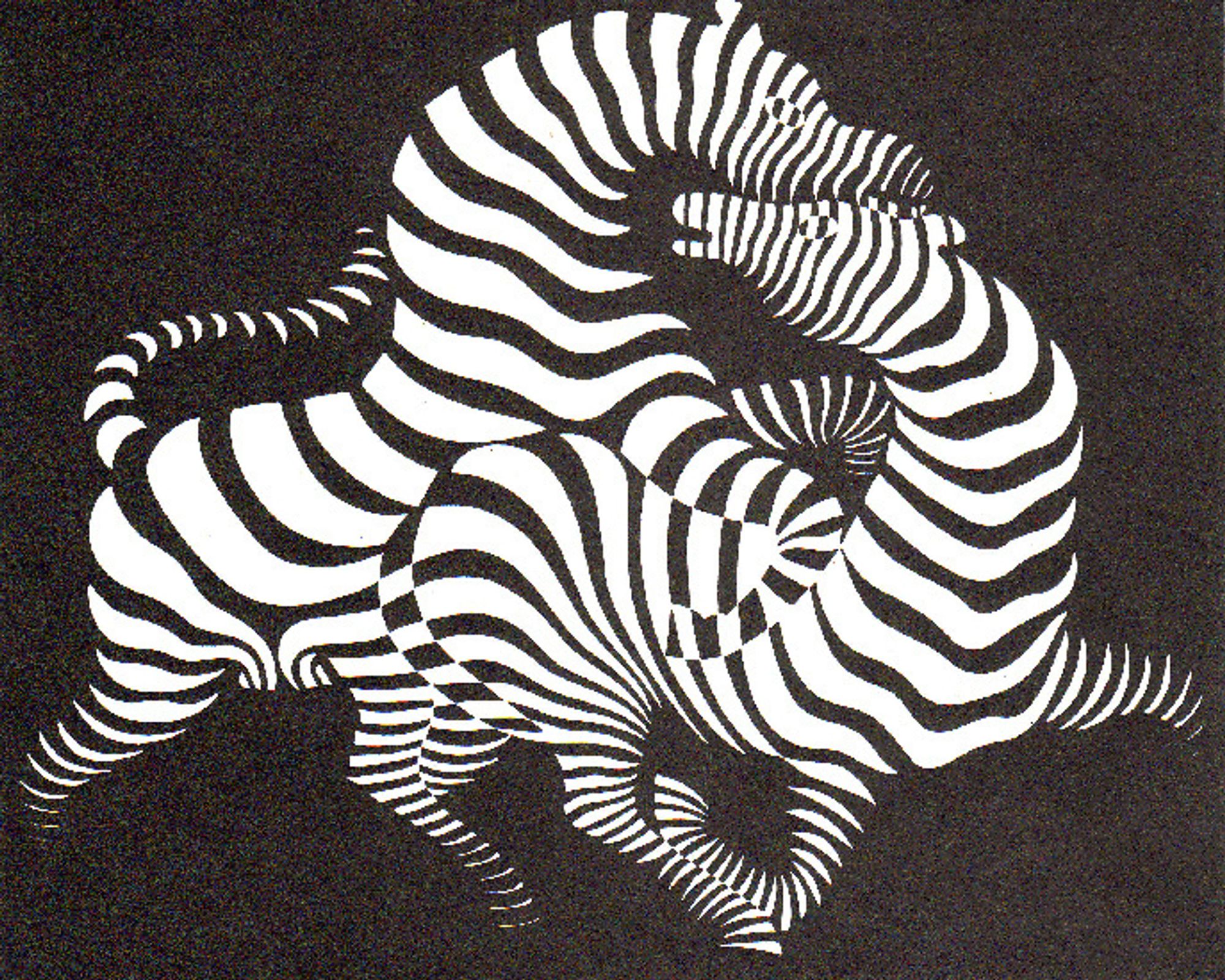 Zebras, 1938