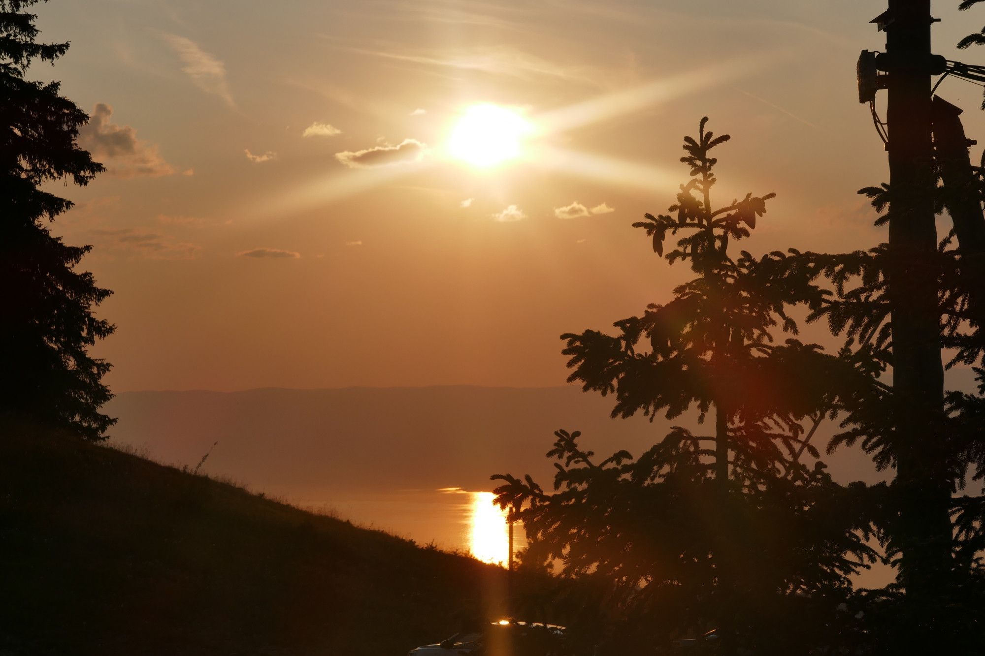 Coucher de soleil sur le Léman, ambiance dorée, sapins en ombres chinoises et Jura au loin en contre jour.