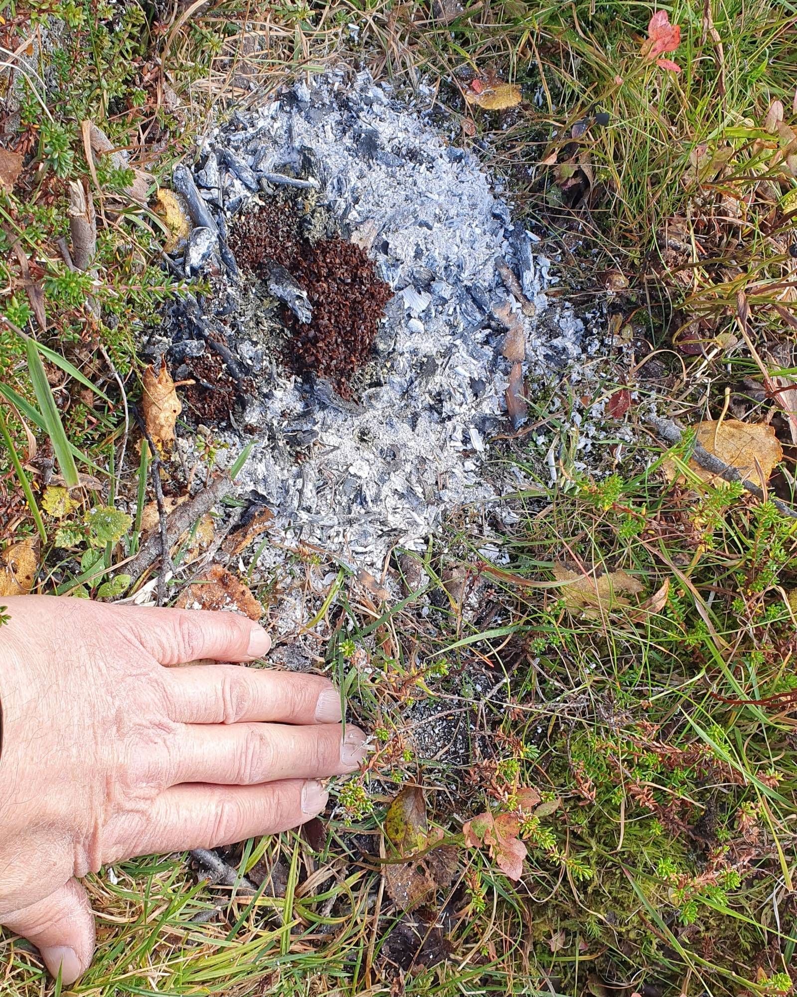 Så lite aske etter to-tre kjeler kaffe og nær uskadd bakke under.