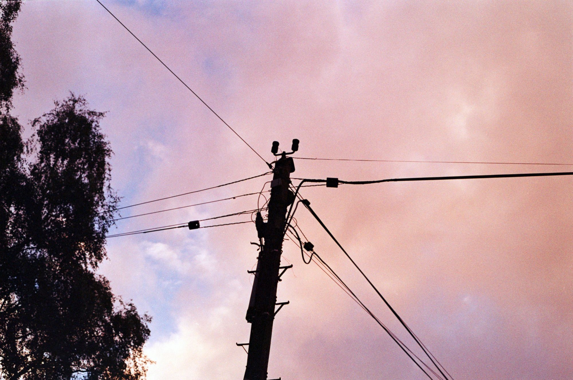 An upward shot of a wooden power pole, with lines of power cables running to and fro from the central pillar. a drooping selection of leaves and branches sits on the left side of the composition.