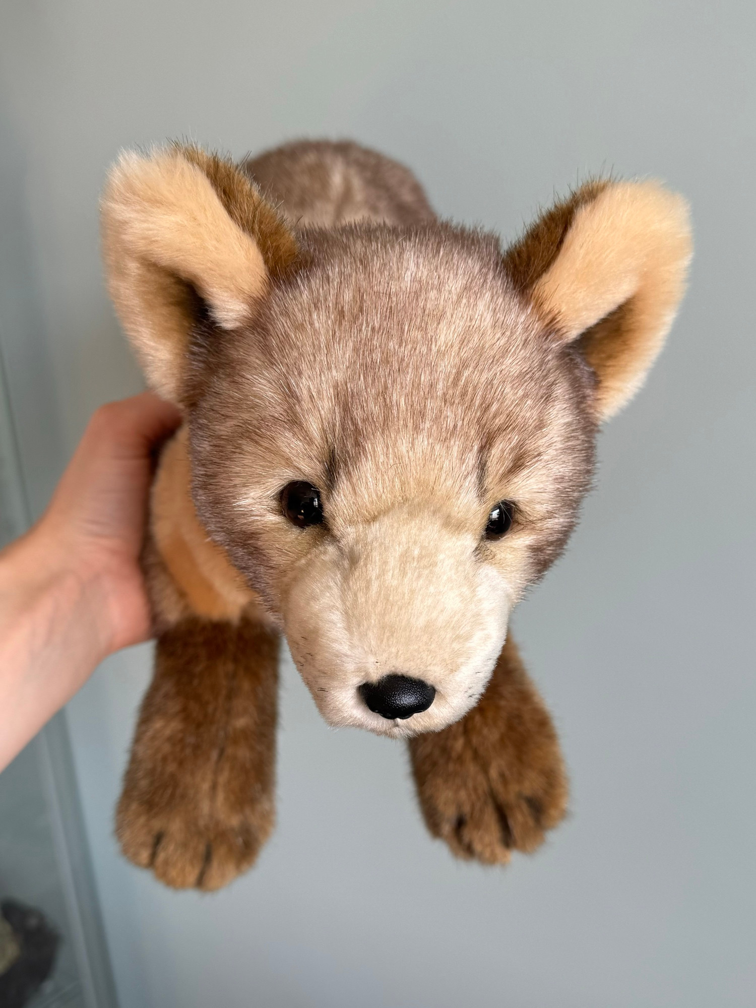 Photo of a handmade plush pine marten seen looking down. 