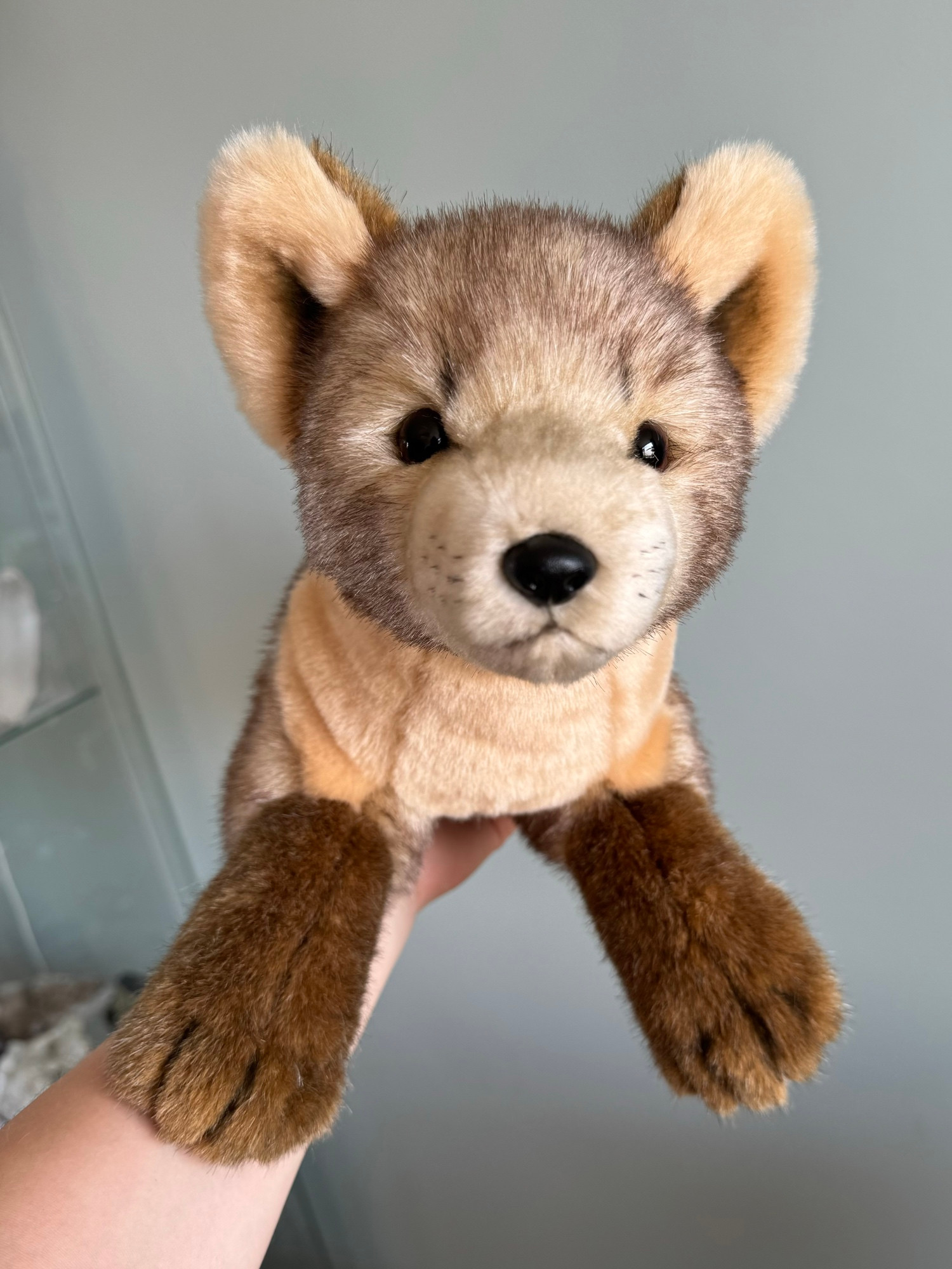 Photo of a handmade plush pine marten seen head on. 