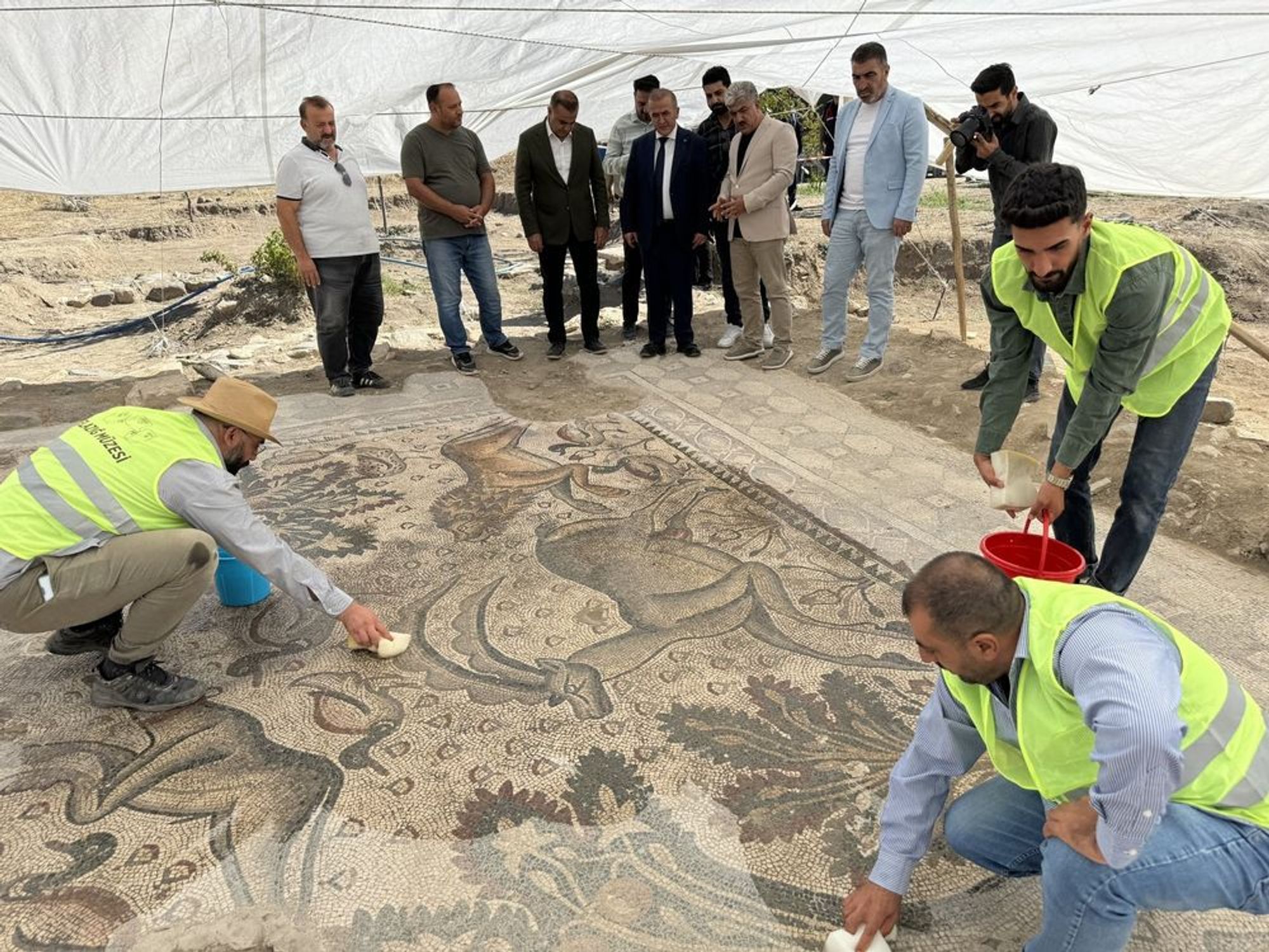 An incredible mosaic with highly skillful renditions of animals including deer, a mallard duck, possibly a lion? Lots of plants too.  There is an enormous white tent that has been erected over the mosaic and three men in yellow safety vests are slowly clearing away debris.  Several people (the money?) are hanging around in suits mostly off the pattern. Not a woman among the workers or watchers.