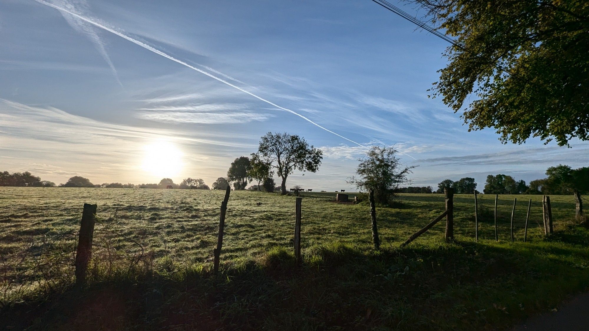 La campagne normande au matin, sous le soleil