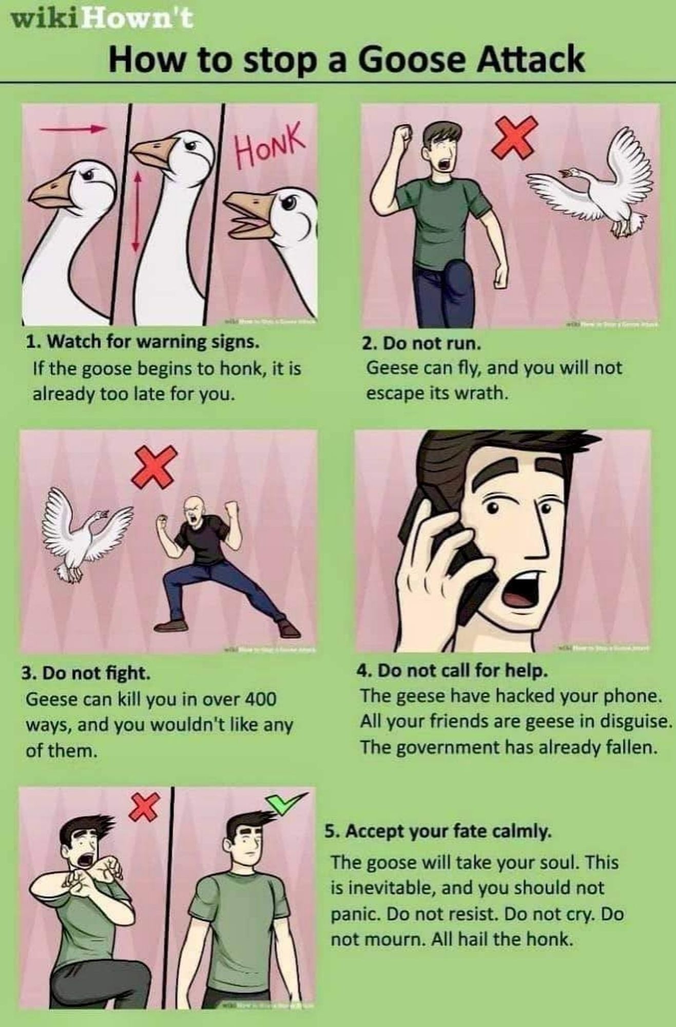 How to stop a goose attack:
1) watch for warning signs. If the goose begins to honk, it is already too late for you

2) do not run. Geese can fly and fly will not escape its wrath 

3) do not fight. Geese can kill you in over 400 ways and you wouldn't like any of them 

4) do not call for help. The geese have hacked your phone. All your friends are geese in disguise. The government has already fallen. 

5) accept your fate calmly. The goose will take your soul. This is inevitable and you should not panic. Do not resist. Do not cry. Do not mourn. All hail the honk.