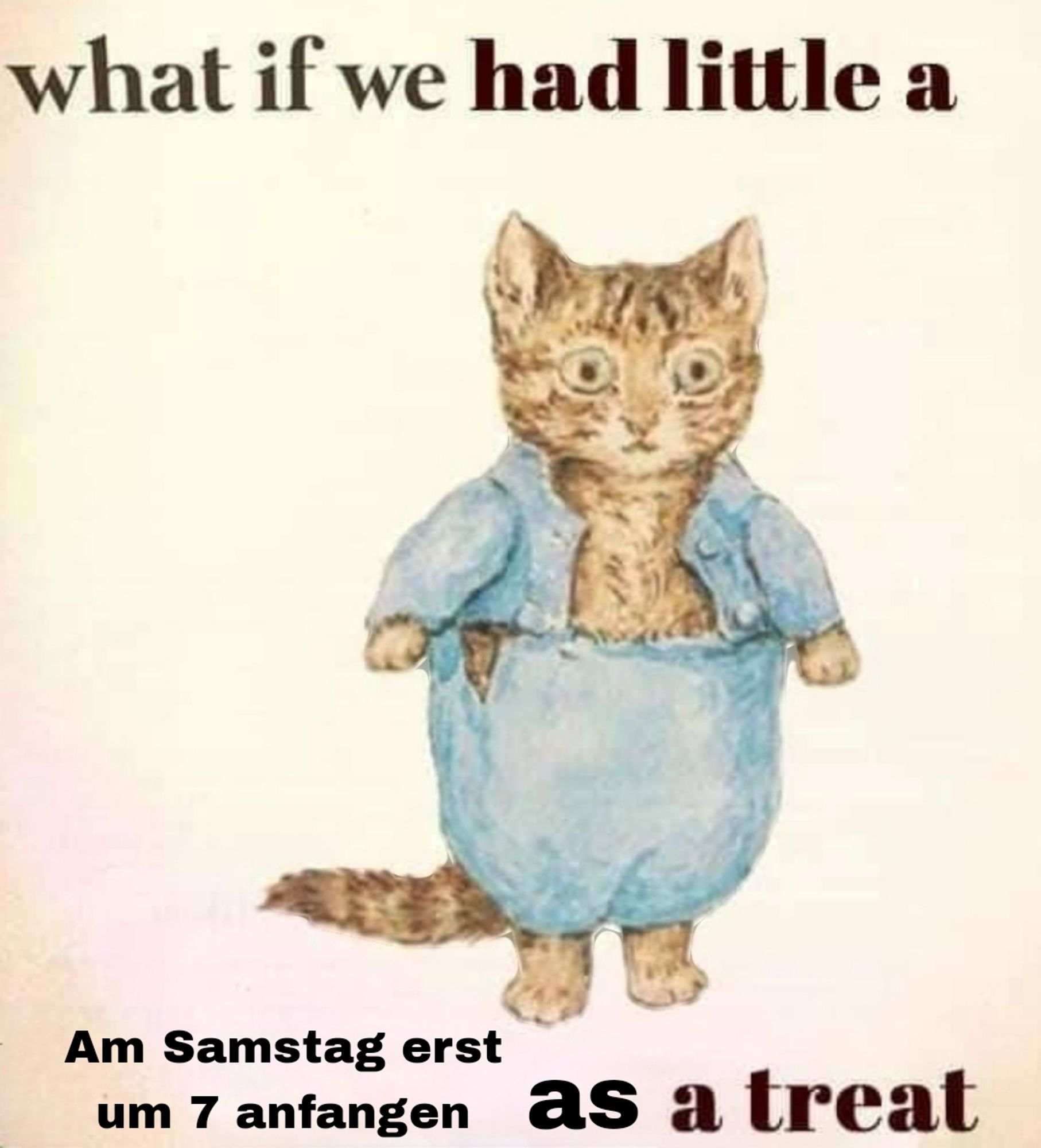 Ein Meme mit einer Katze.
Text: What if we had a little Am Samstag erst um 7 anfangen as a treat