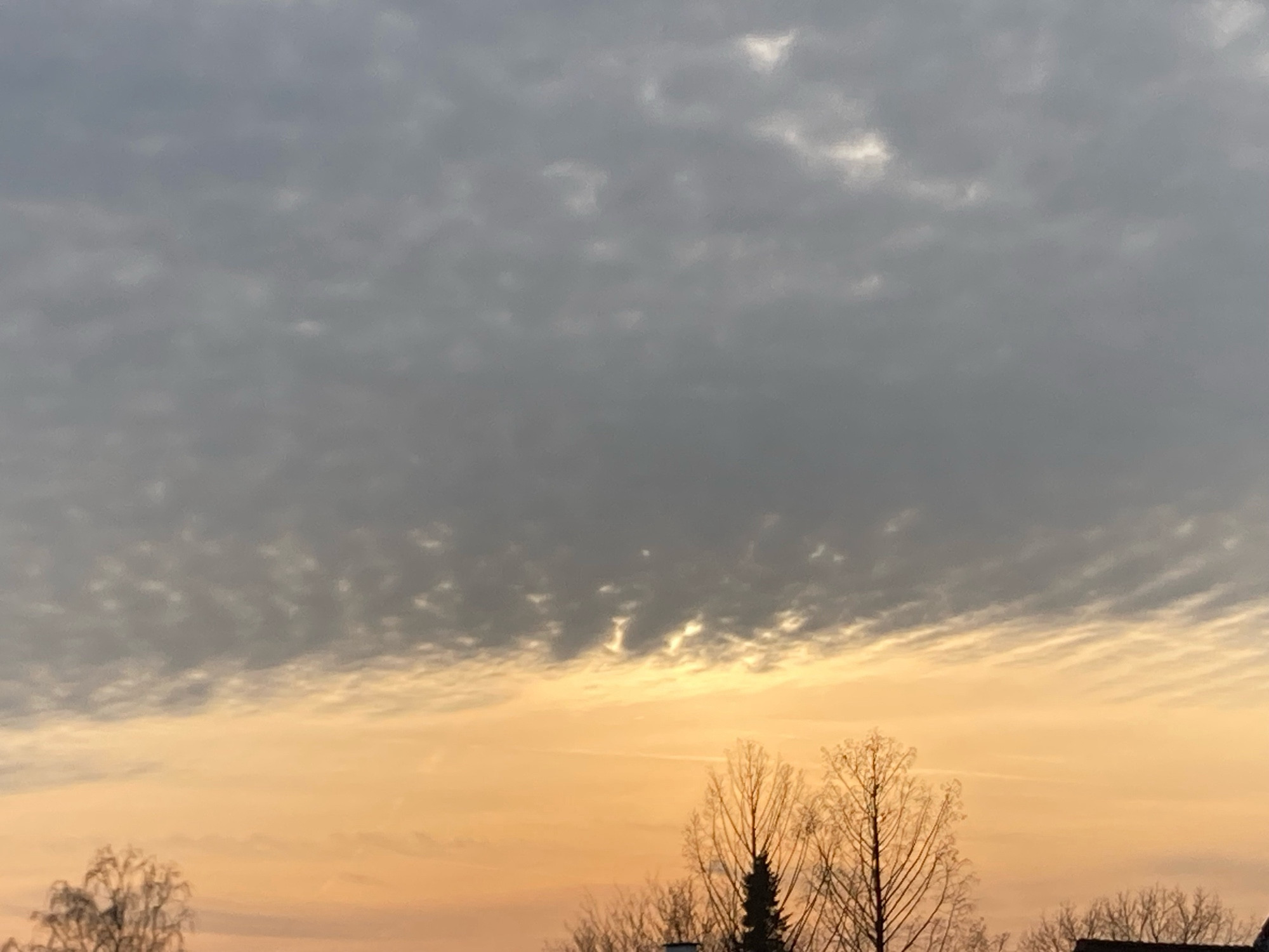 Unten am Bildrand zeigen sich die Silhouetten mittig von großen Bäumen sowie rechts und links von kleineren Bäumen. In den oberen zwei Dritteln der wattig graue kleinteilig bewölkte Himmel, darunter der goldene Himmel die Sonne ist mittig zu erahnen.