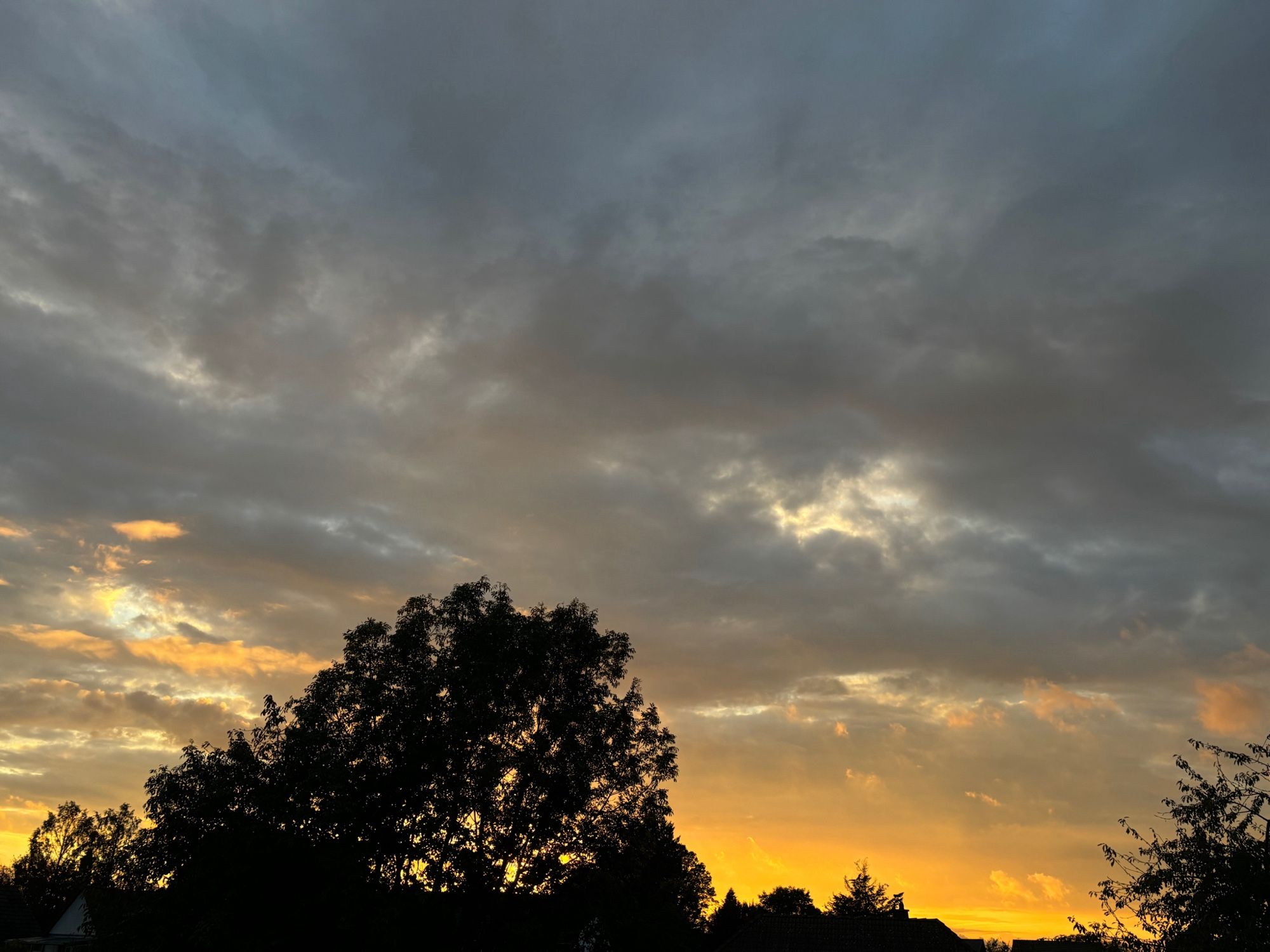 Am unteren linken Bildrand die Silhouette eines großen Baumes und von Sträuchern. Von mittig unten rechts verteilt sich das letzte Licht der untergehenden Sonne, die selbst nicht zu sehen ist, über den Himmel. Das Licht sendet gelb orange Farben über den gesamten Himmel. Der Himmel ist mit großen grauen fluffigen Wolken bedeckt und lässt an wenigen Stellen den Blick auf den Himmel frei.