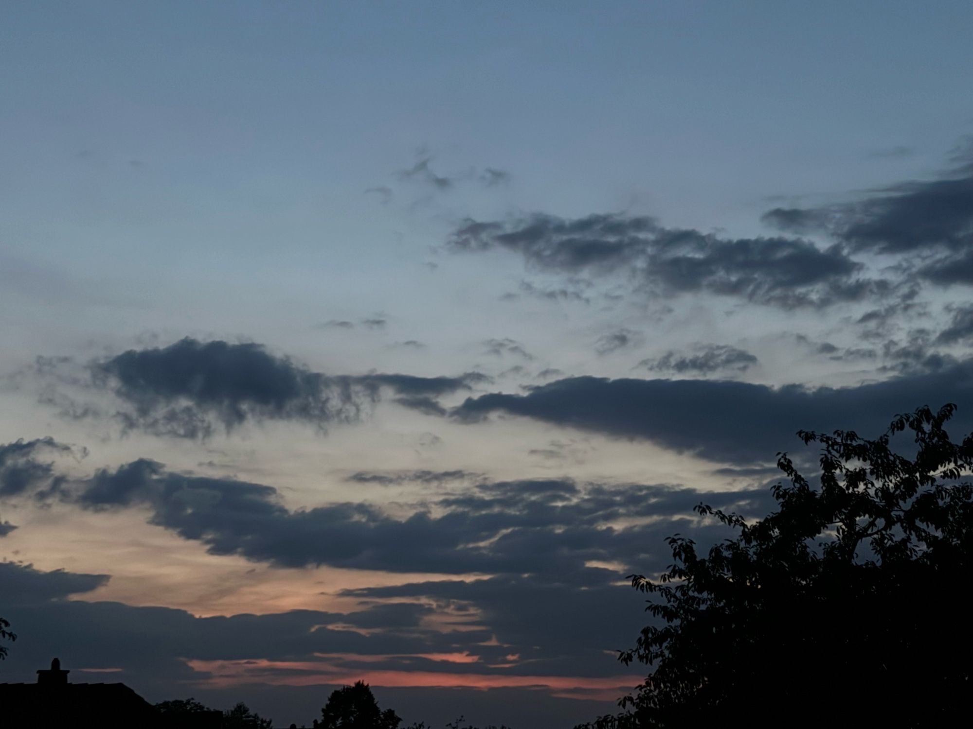 Rechts unten, die Ecke großzügig ausfüllend, zeigt sich die Silhouette eines größeren Baumes. Der Himmel ist mit kleinen lang zerzausten grauen Wolken bedeckt. Das Blau des Himmels befindet sich im Übergang zum nachtgrau. Links von dem Baum zeigt sich das letzte Licht der bereits untergegangen Sonne, in gehauchtem rot und hauchigem dunklem orange.