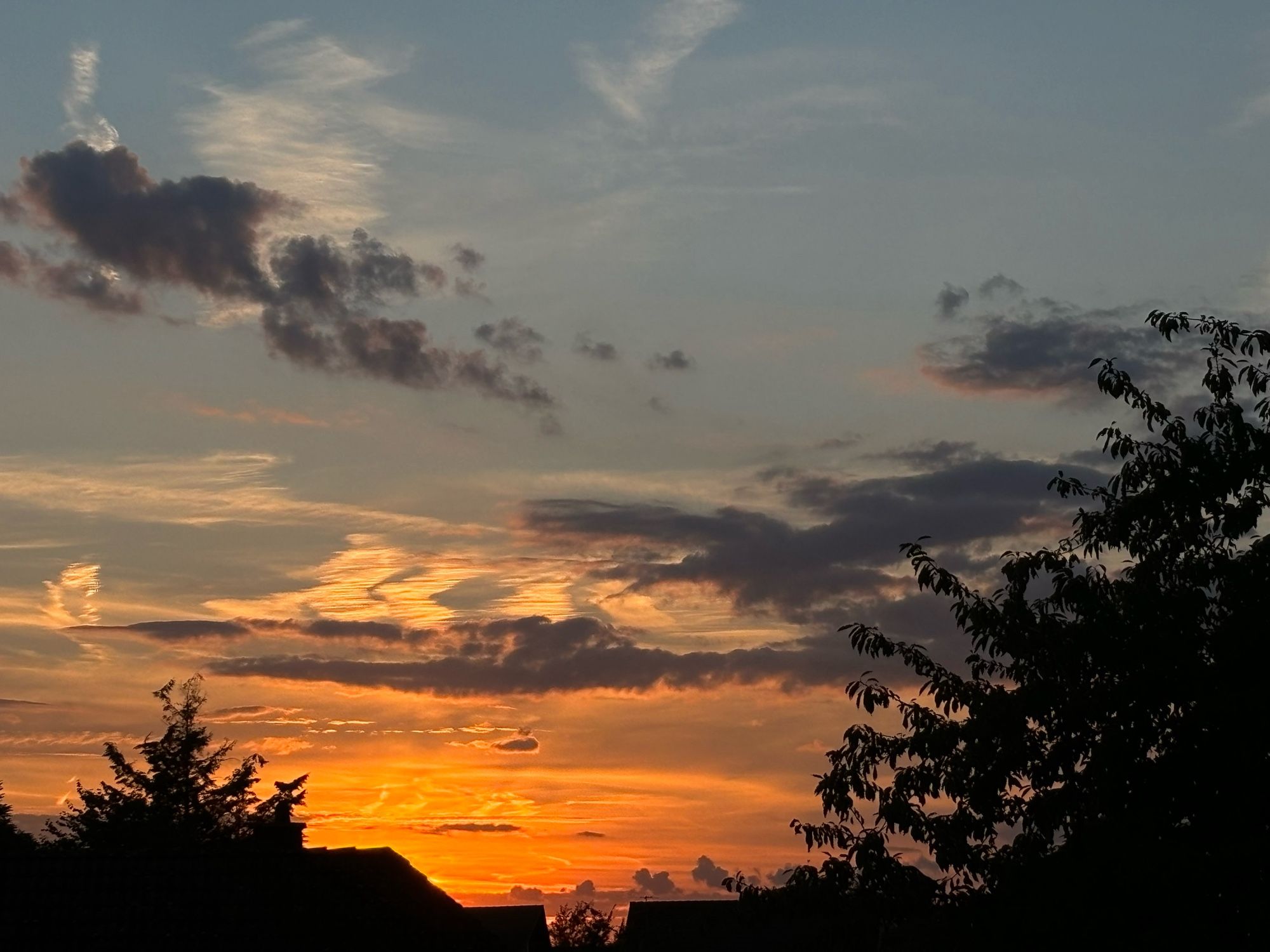 Rechts die Silhouette eines großen Baumes, links die Silhouette eines kleineren Baumes vor dem unten orange gefärbten Himmel , an dem die untergehende Sonne am leicht bewölktem Himmel nicht mehr zu Sehen ist.