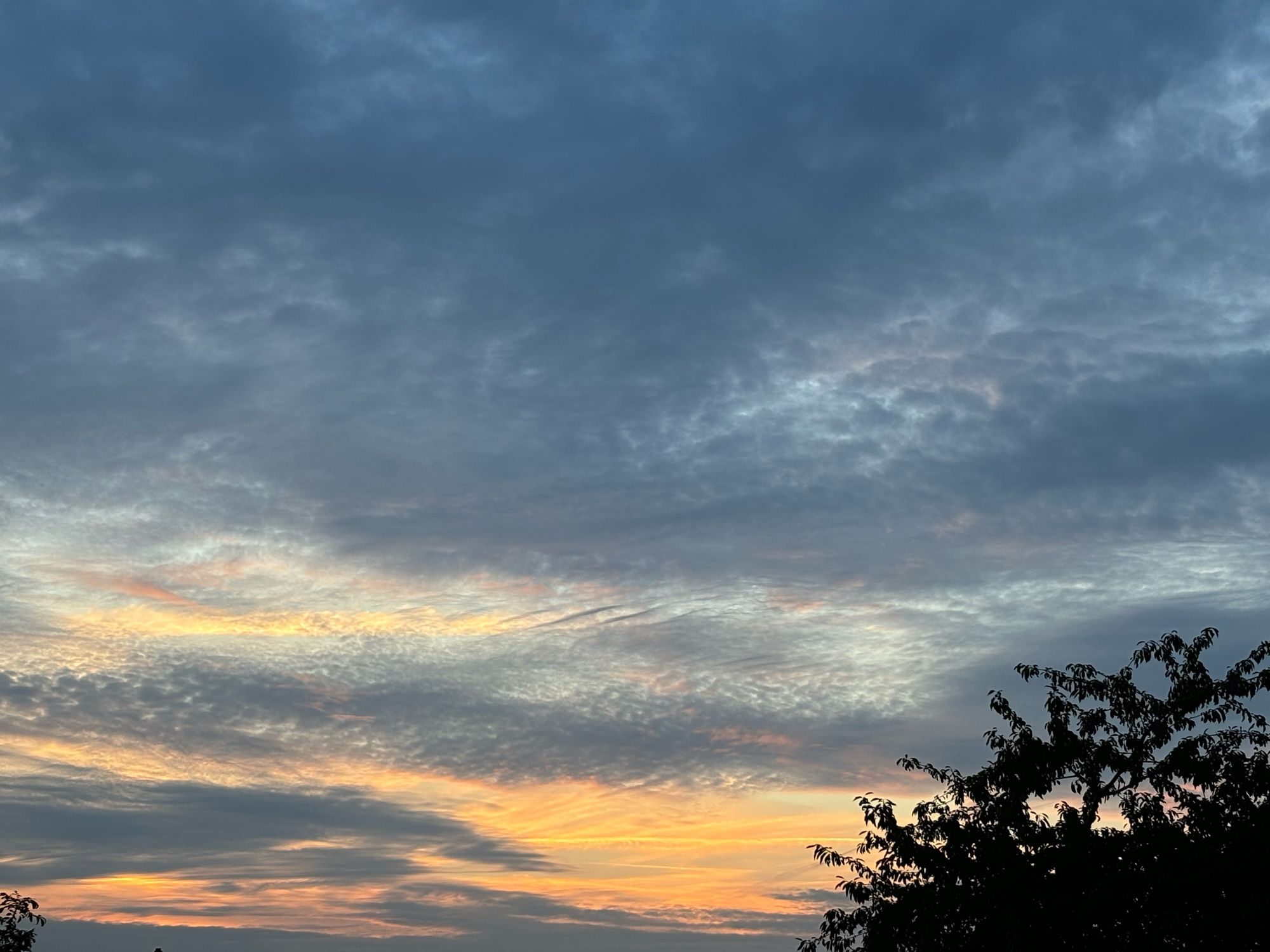 Rechts die Silhouette eines großen Baumes vor dem unten und im mittleren Bereich bunt gefärbten Himmel, an dem mittig die Sonne vor schleirig bewölktem Himmel fast verschwunden ist. Im oberen Teil des Bildes schimmert der Himmel blau durch die Wolken.