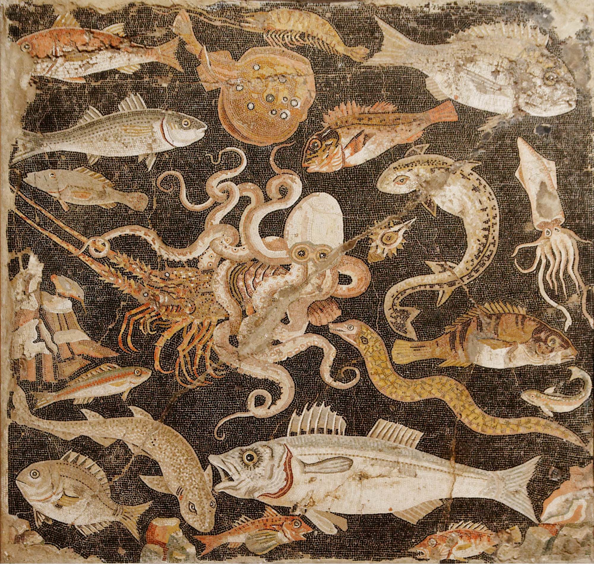 A mosaic depicting a range of fish, squid, eels, and sea life against a dark background.