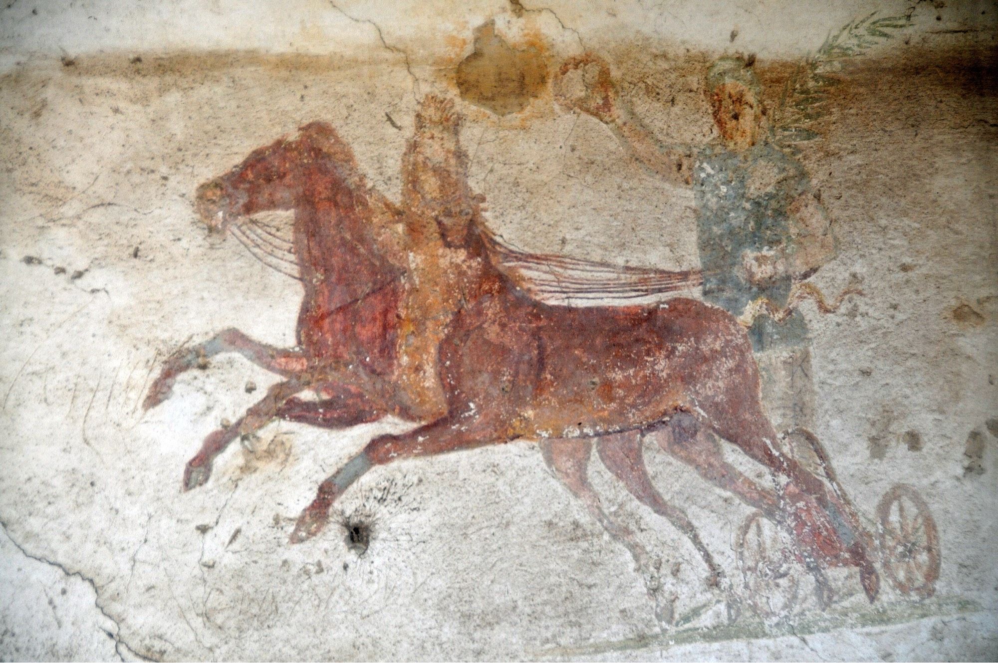 A fresco depicting a charioteers riding with two brown horses. The charioteer is dressed in a blue tunic and holds up a wreath in one hand. A palm branch is tucked in his other arm. The horses are leaping forward. Photo credit to Dennis Jarvis via Flickr.