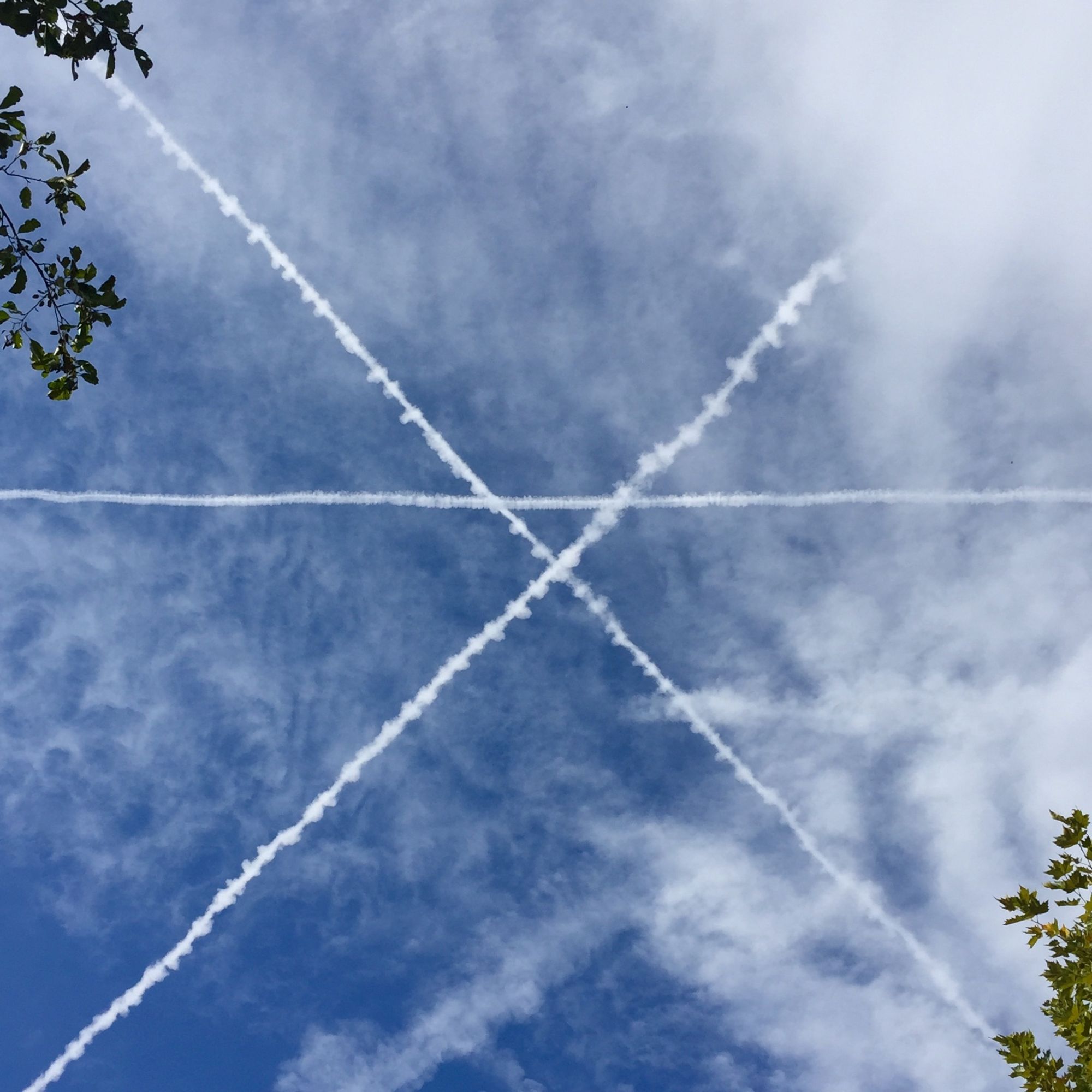 3 Flugzeug-Kondensstreifen welche sich so kreuzen, das sie ein gleichschenkliges Dreieck zeichnen. Vor blauem Himmel mit leichten Wolken. Angeschnitten ragen Äste mit Laub ins Bild.