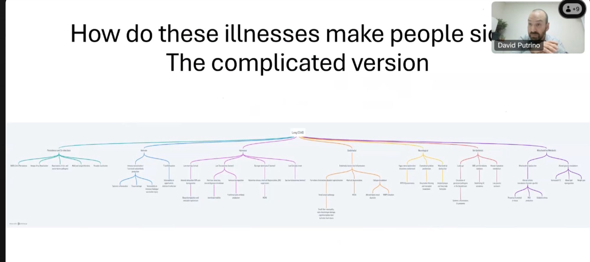 Screen shot headed: Complex illnesses require complex solutions. Monotherapies will not get it done. Image shown of an extensive diagram showing a network of pathophysiology in Long Covid.