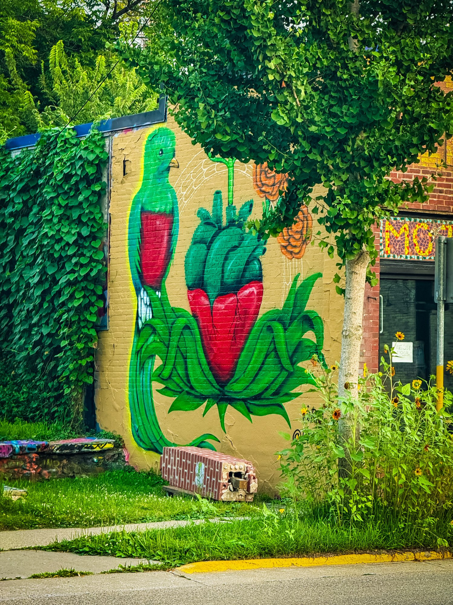 Image of a mural depicting a bird and a strawberry that looks like a human heart on an exterior wall of a coffee shop.