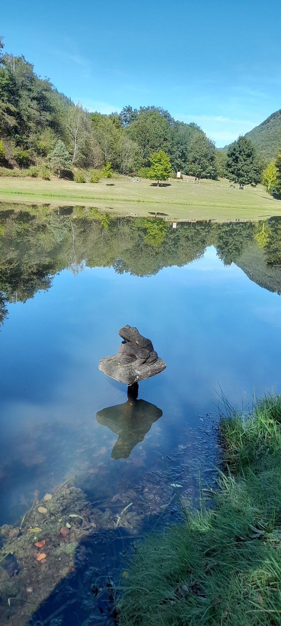 Une grenouille en bois sur un étang qui reflète le bleu du ciel.