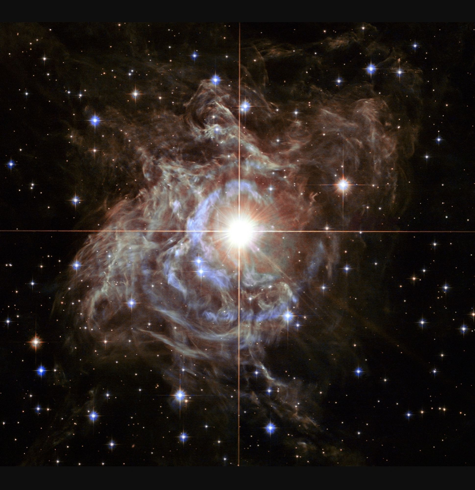 This festive NASA Hubble Space Telescope image resembles a holiday wreath made of sparkling lights. The bright southern hemisphere star RS Puppis, at the center of the image, is swaddled in a gossamer cocoon of reflective dust illuminated by the glittering star. The super star is ten times more massive than our Sun and 200 times larger.

RS Puppis rhythmically brightens and dims over a six-week cycle. It is one of the most luminous in the class of so-called Cepheid variable stars. Its average intrinsic brightness is 15,000 times greater than our Sun's luminosity.

The nebula flickers in brightness as pulses of light from the Cepheid propagate outwards. Hubble took a series of photos of light flashes rippling across the nebula in a phenomenon known as a "light echo." Even though light travels through space fast enough to span the gap between Earth and the Moon in a little over a second, the nebula is so large that reflected light can actually be photographed traversing the nebula.

By o