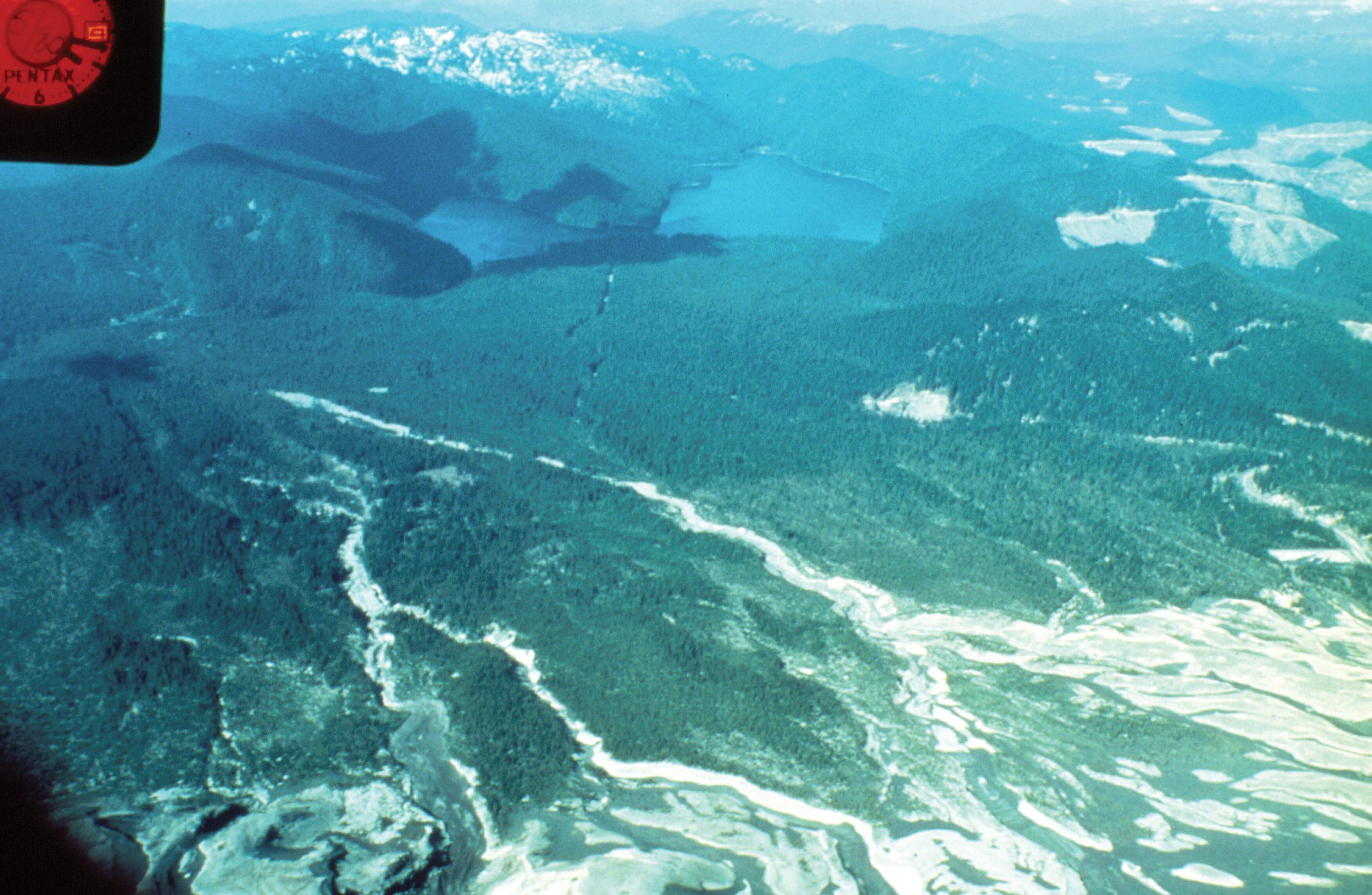 Spirit Lake and drainage creeks on the north slope of Mount St. Helens. May 4, 1980. C. Dan Miller/USGS.