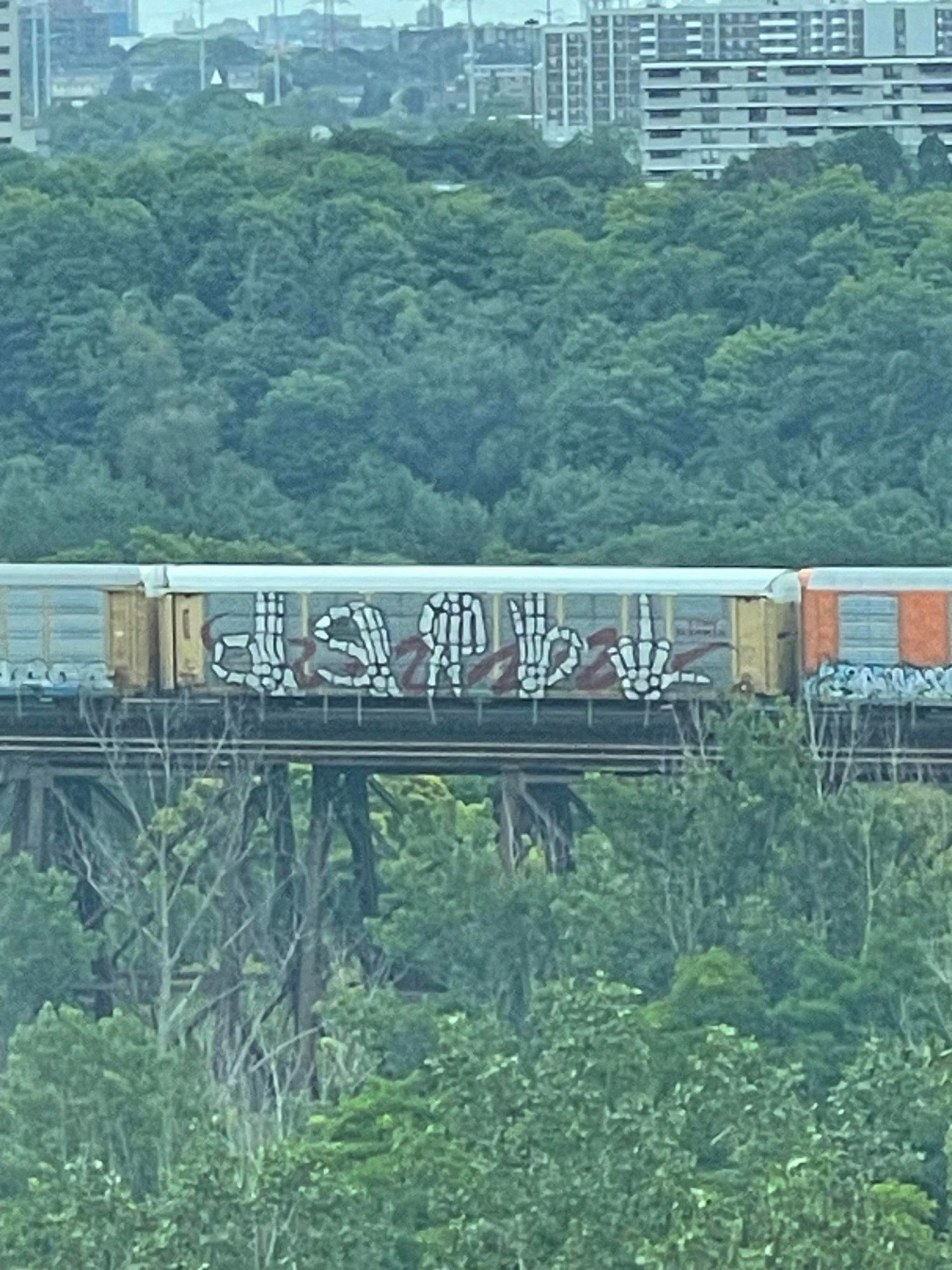 DSABL wholecar