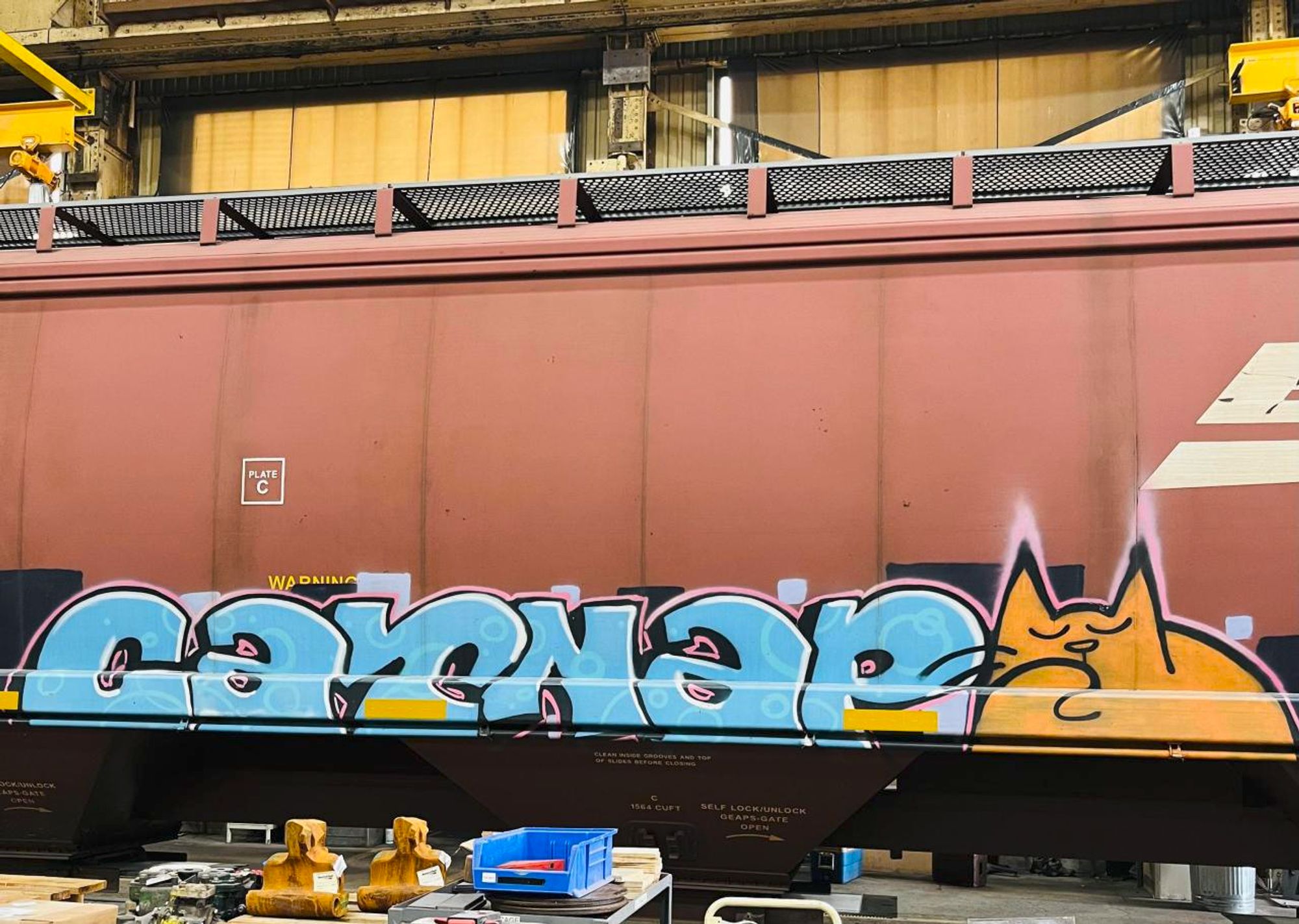 CATNAP graffiti with a cat character on a railcar